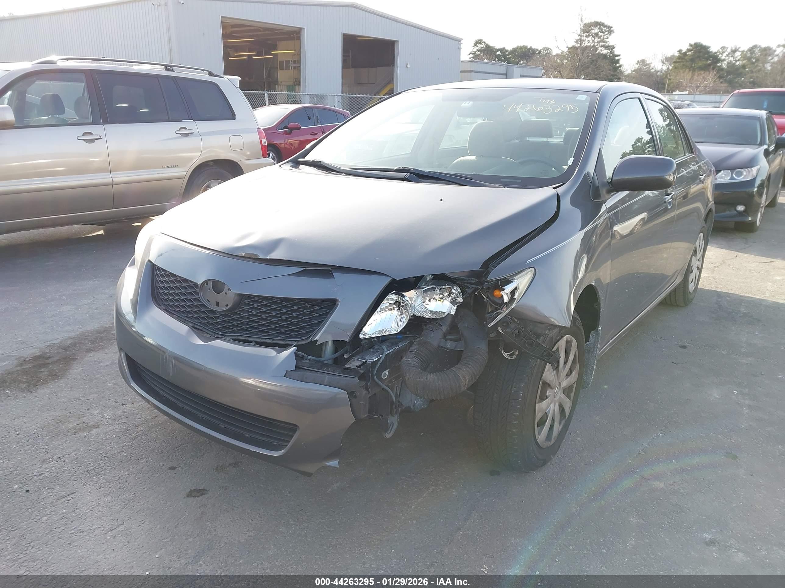 TOYOTA COROLLA image 6
