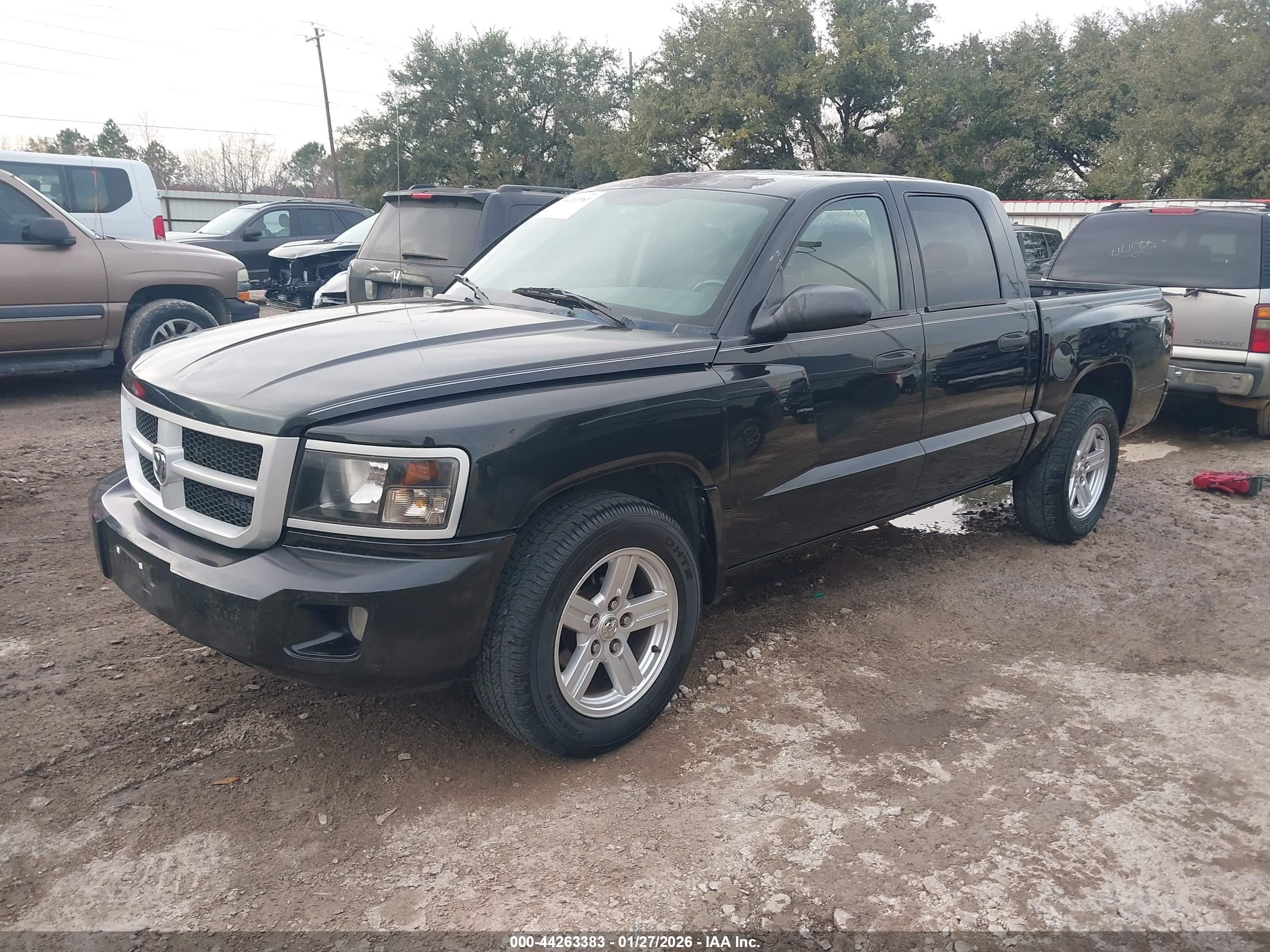 RAM DAKOTA image 2