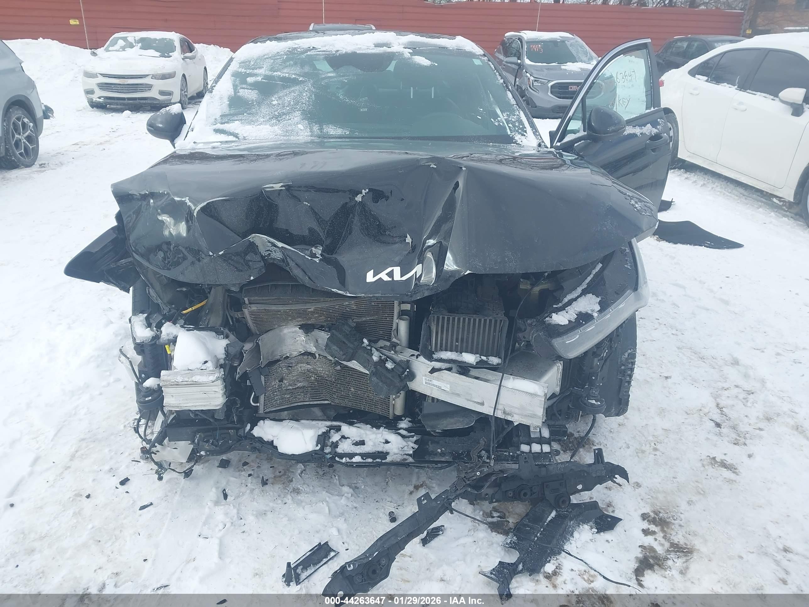 KIA K5 image 6