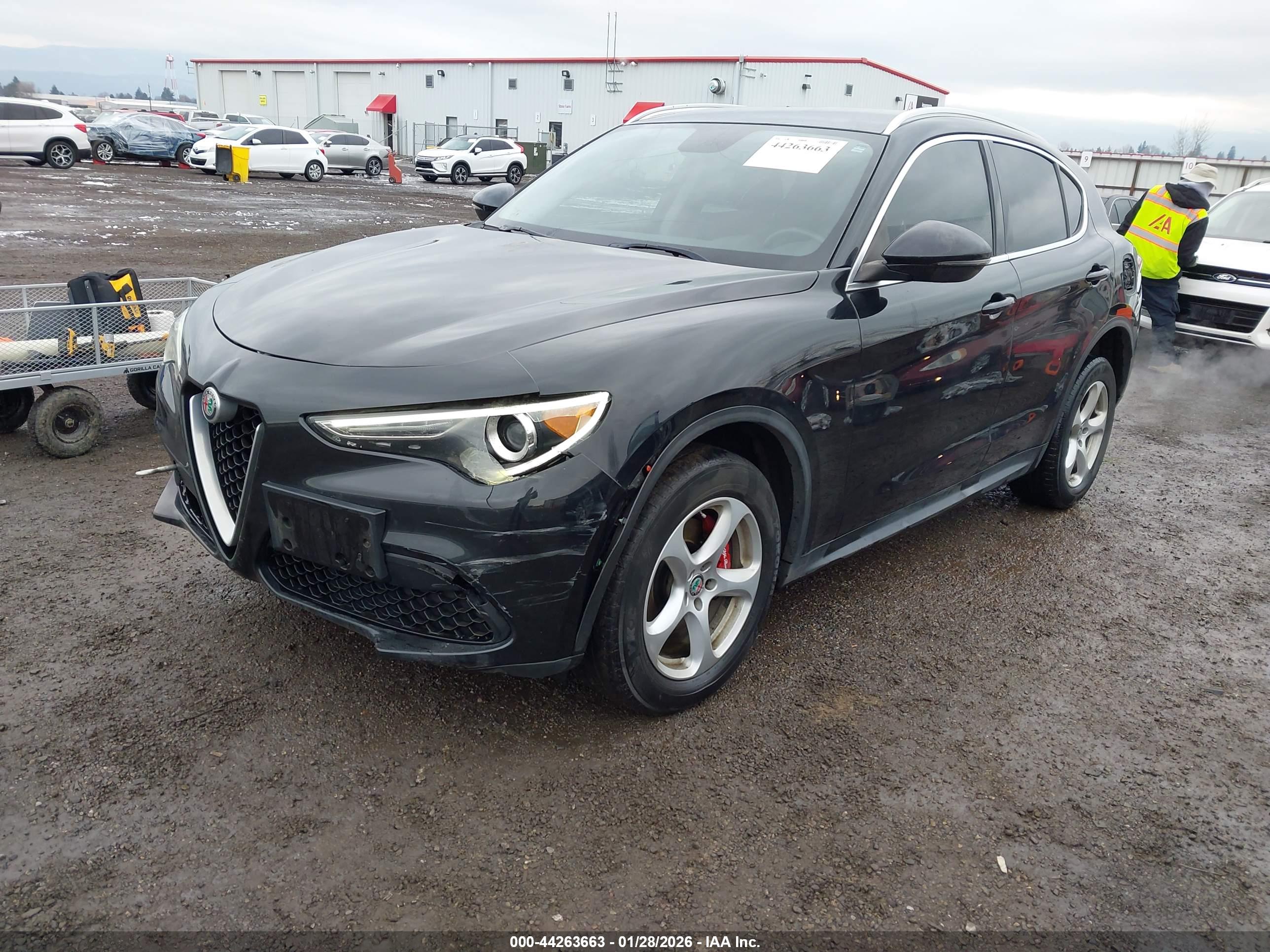ALFA ROMEO image 2