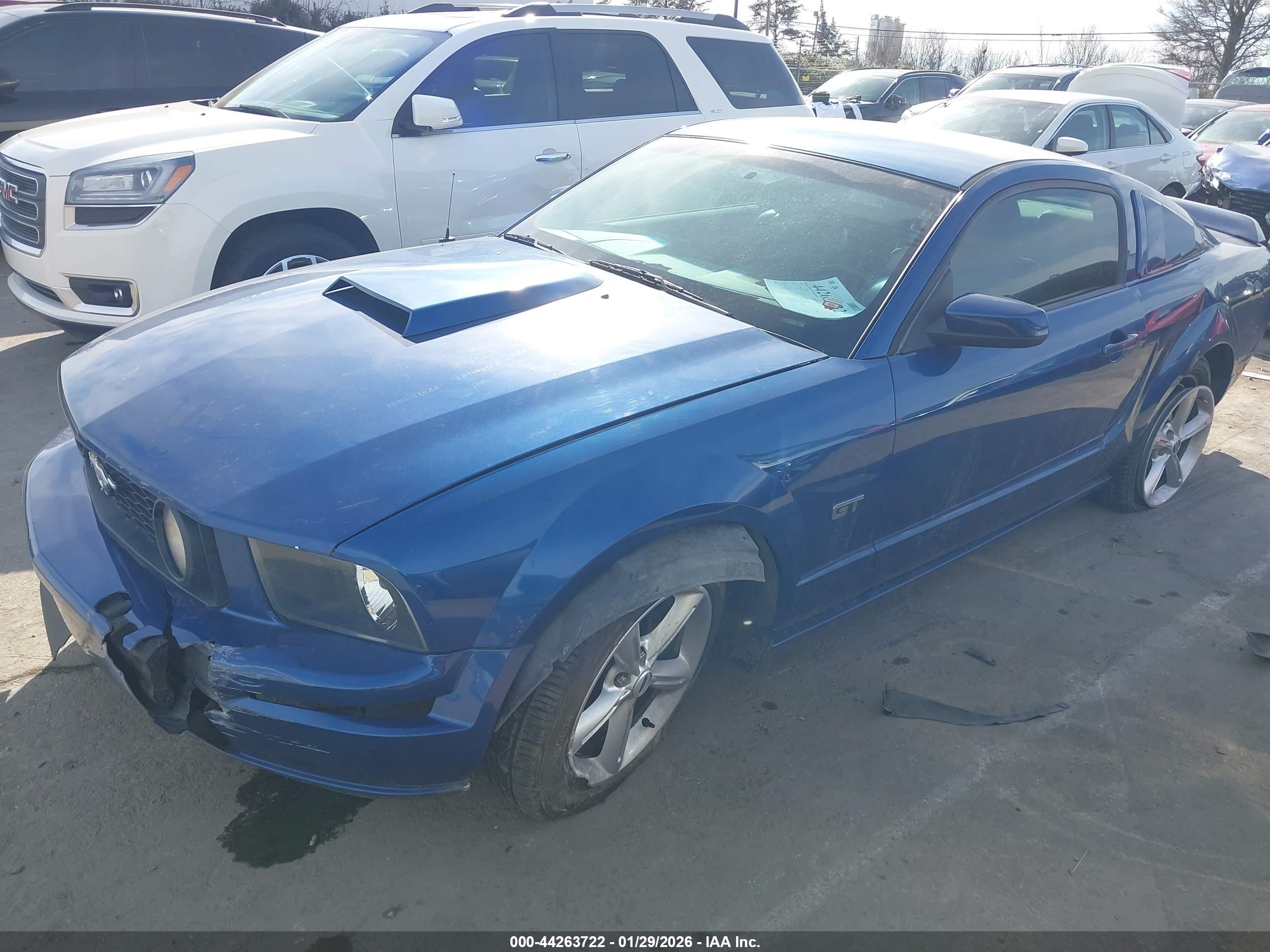 FORD MUSTANG image 6