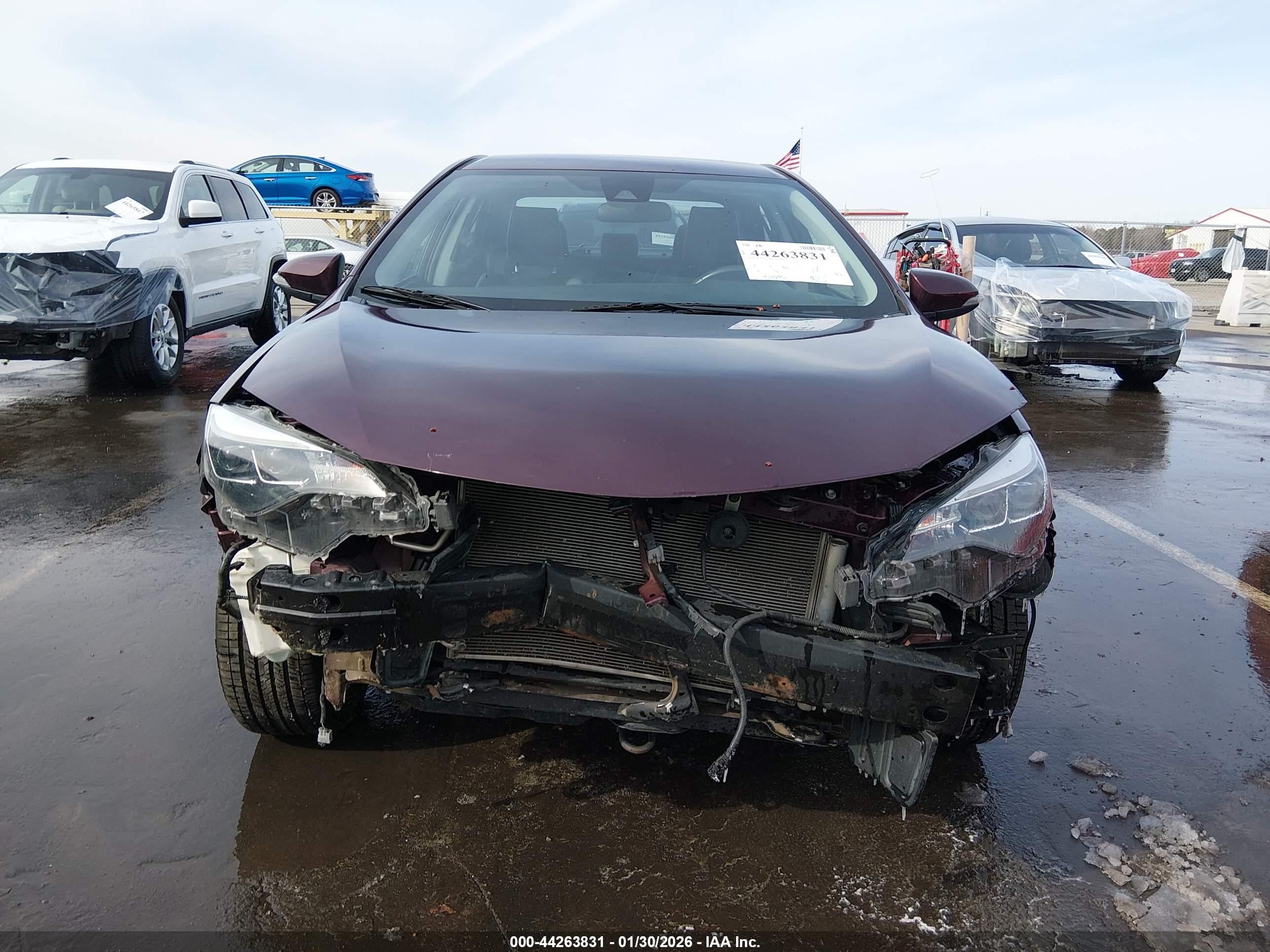 TOYOTA COROLLA image 6