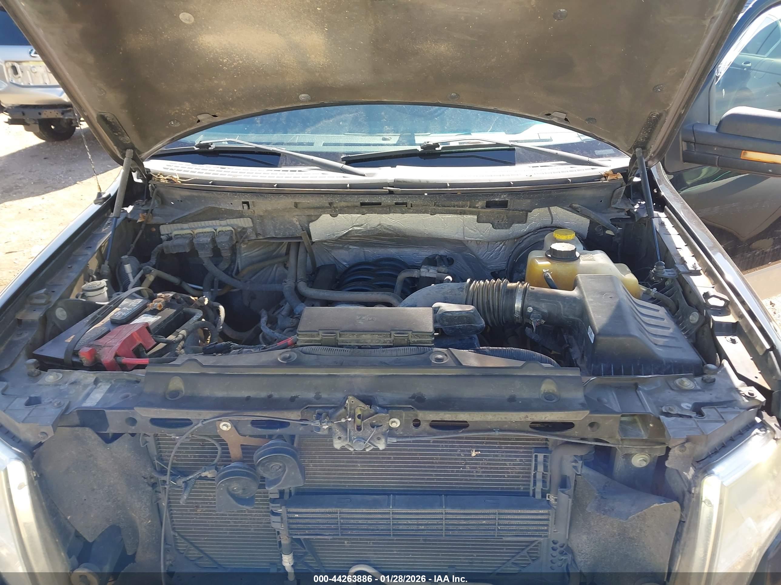 FORD F-150 image 10