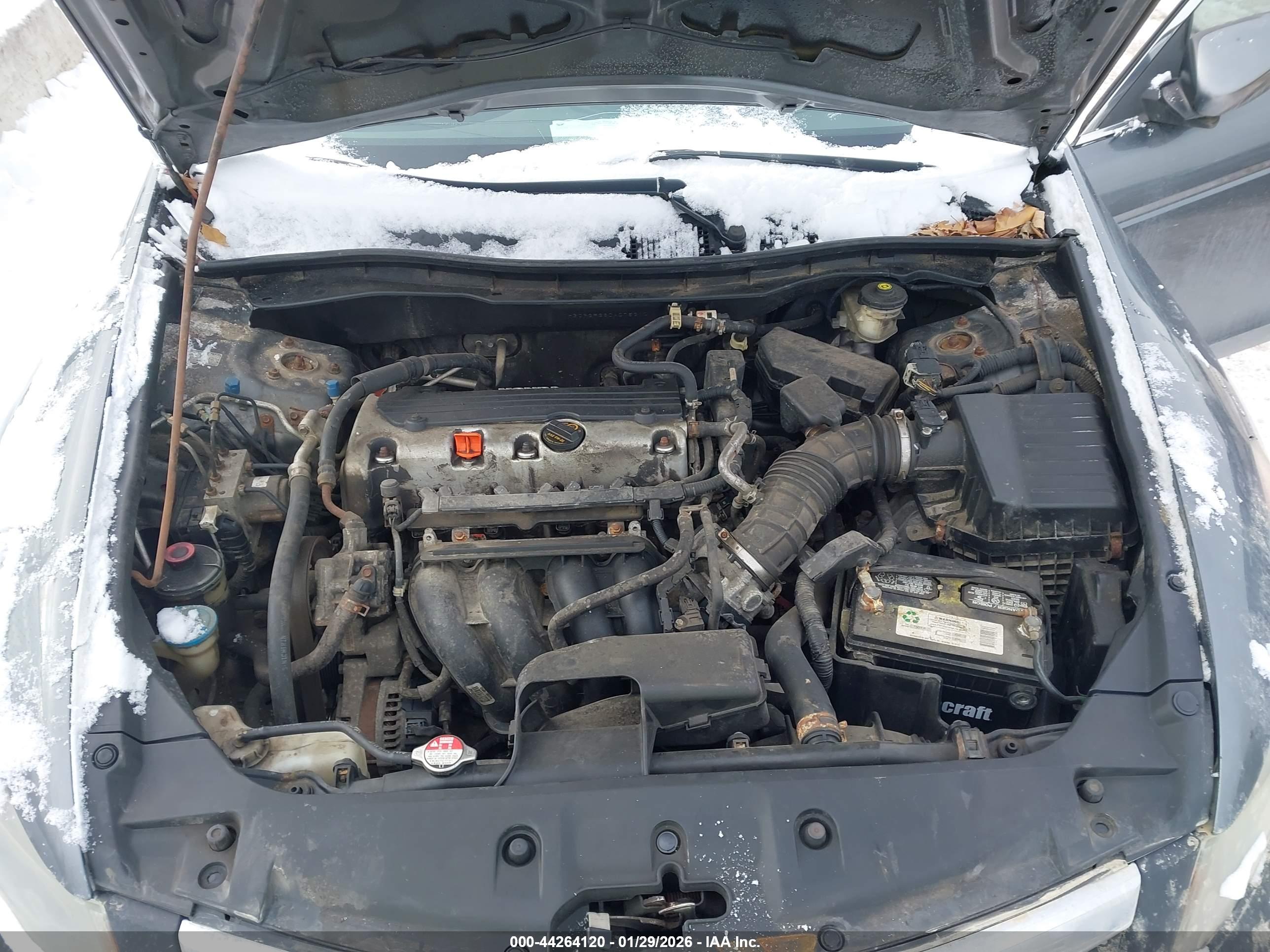 HONDA ACCORD image 10
