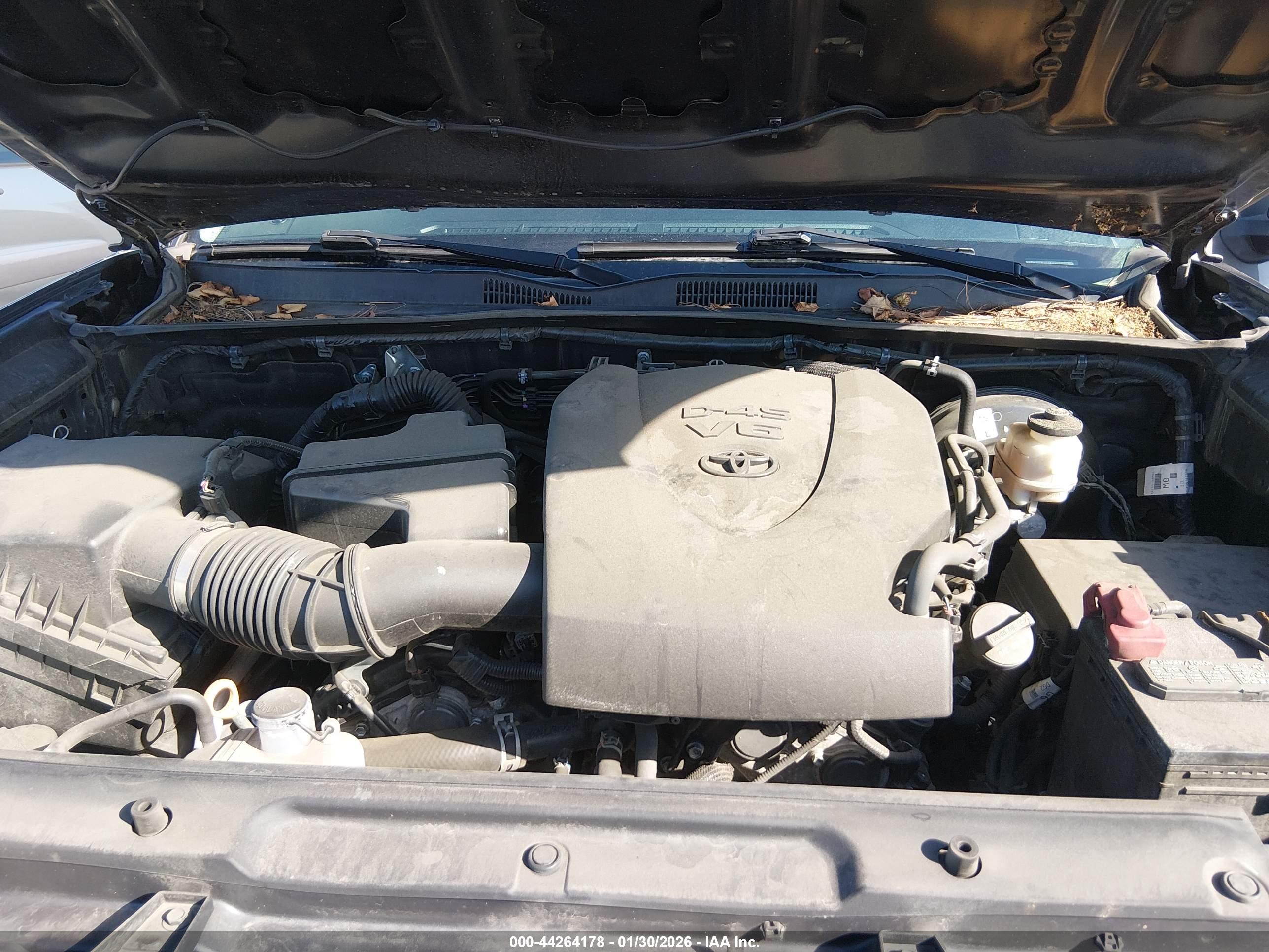 TOYOTA TACOMA image 10