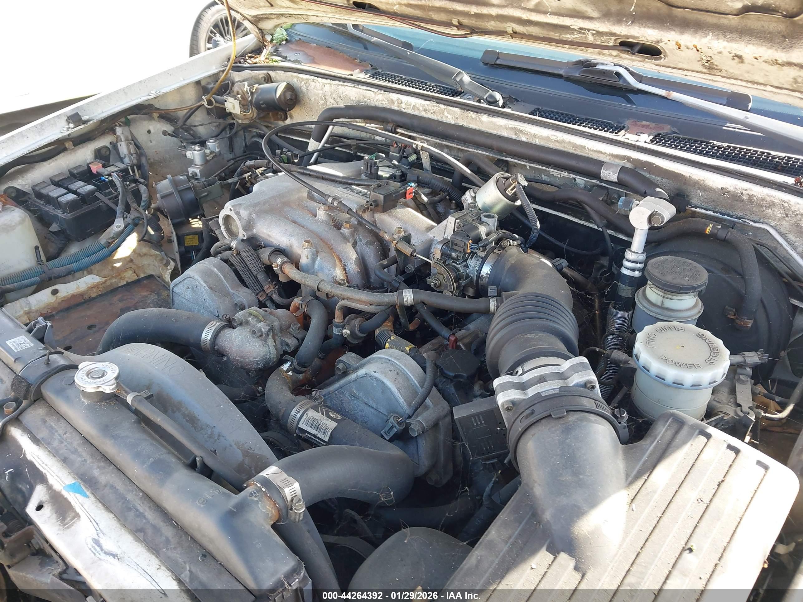 ISUZU RODEO image 10