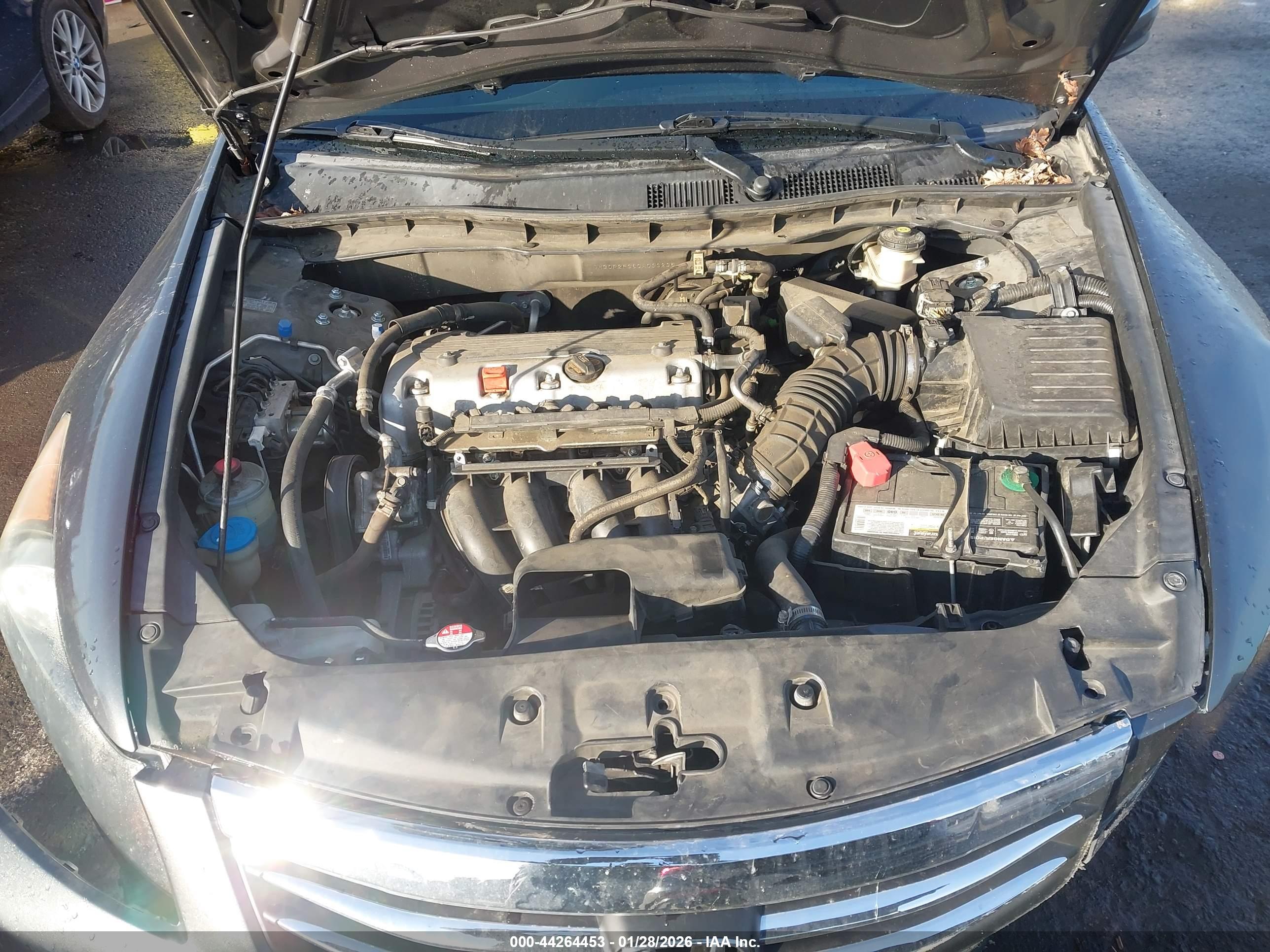 HONDA ACCORD image 10