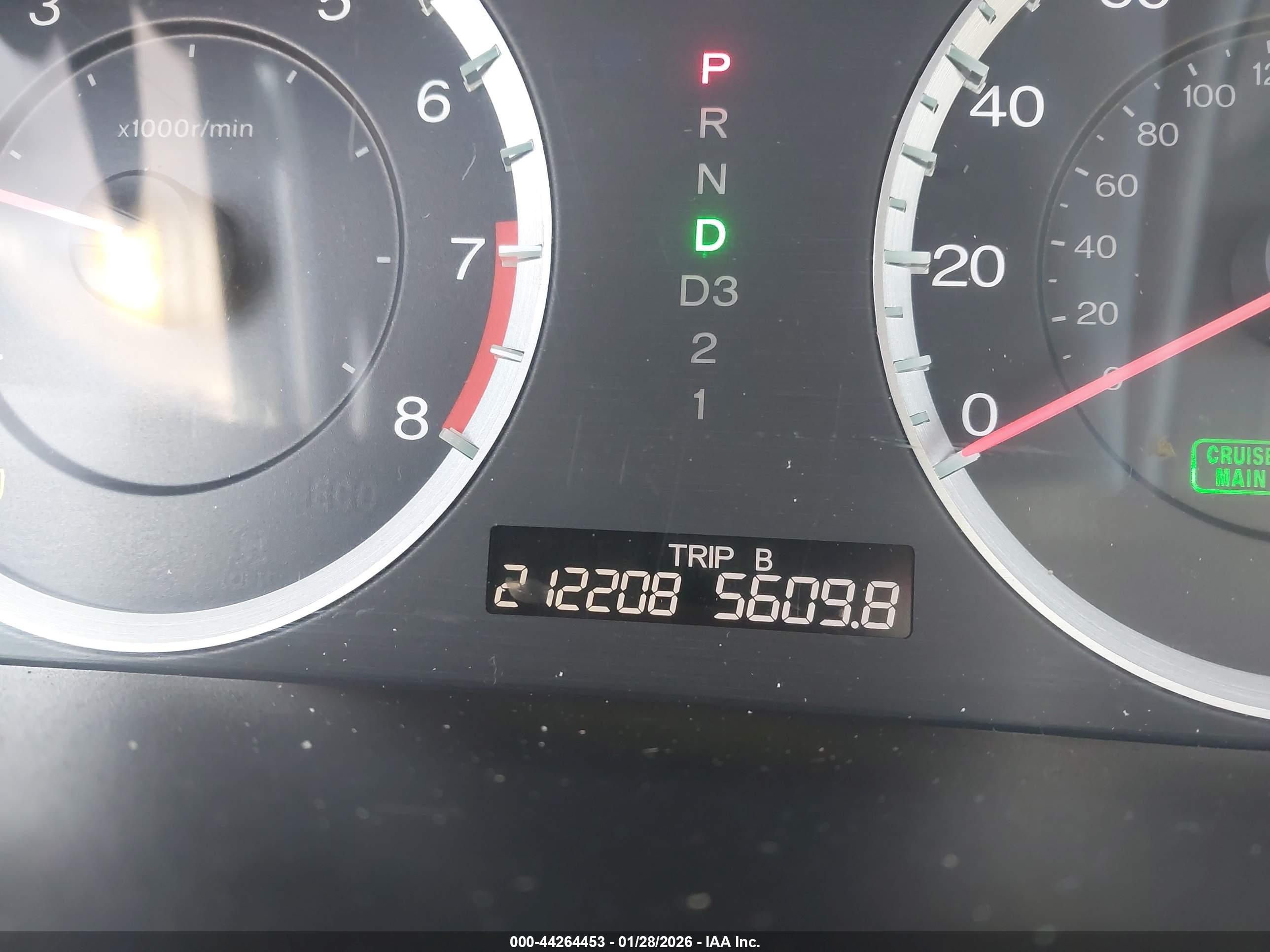 HONDA ACCORD image 7