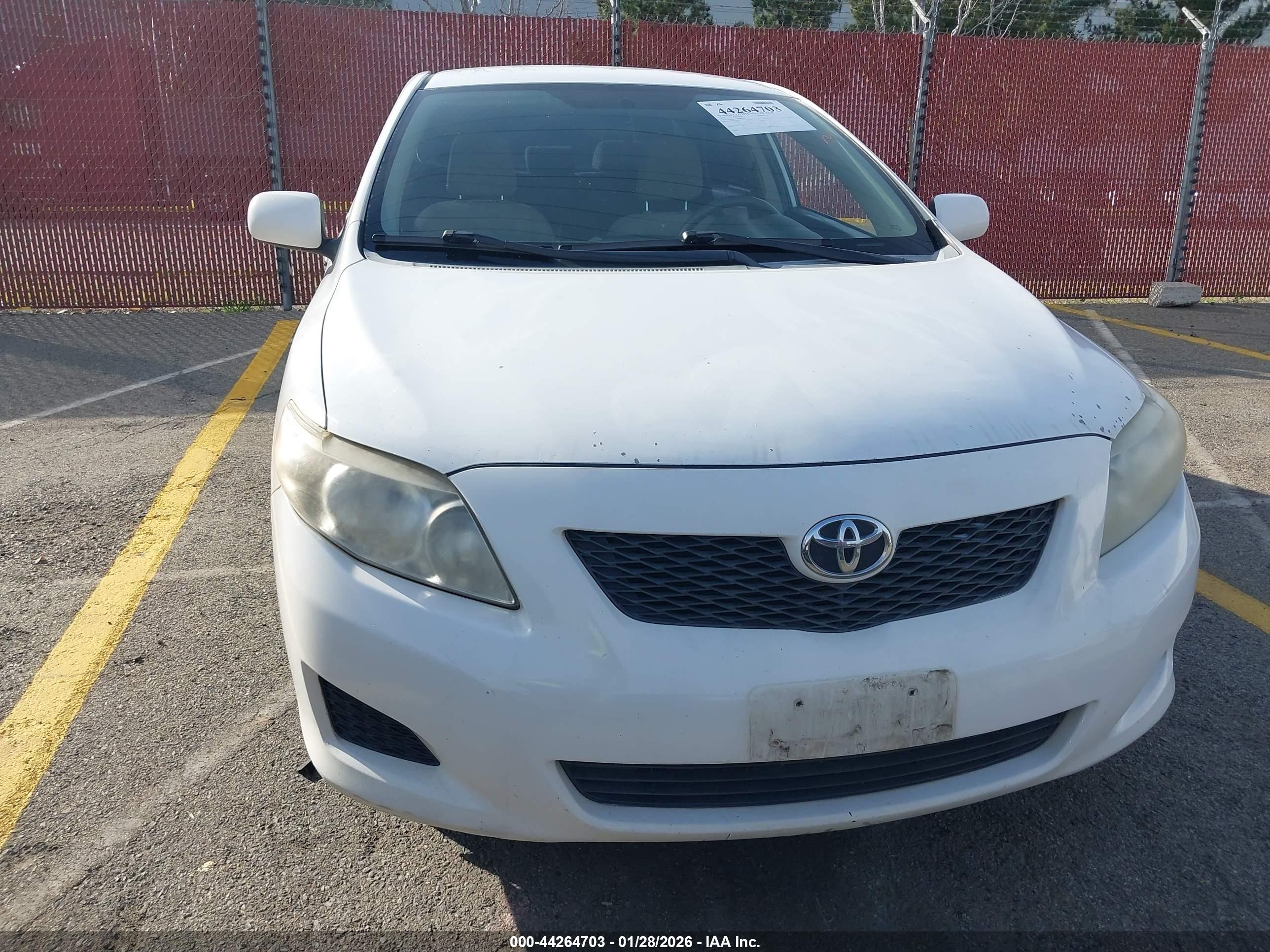 TOYOTA COROLLA image 6