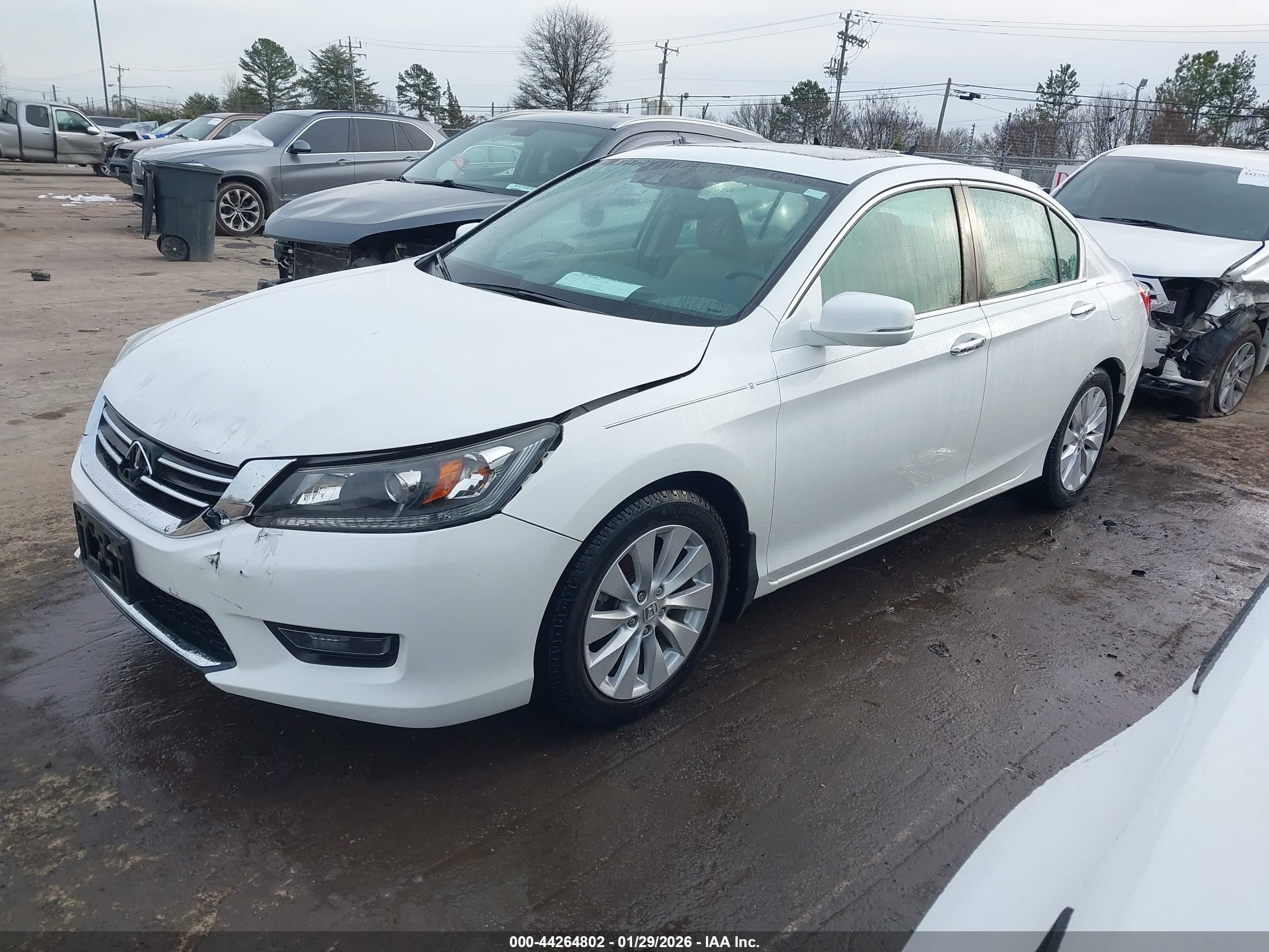 HONDA ACCORD image 2