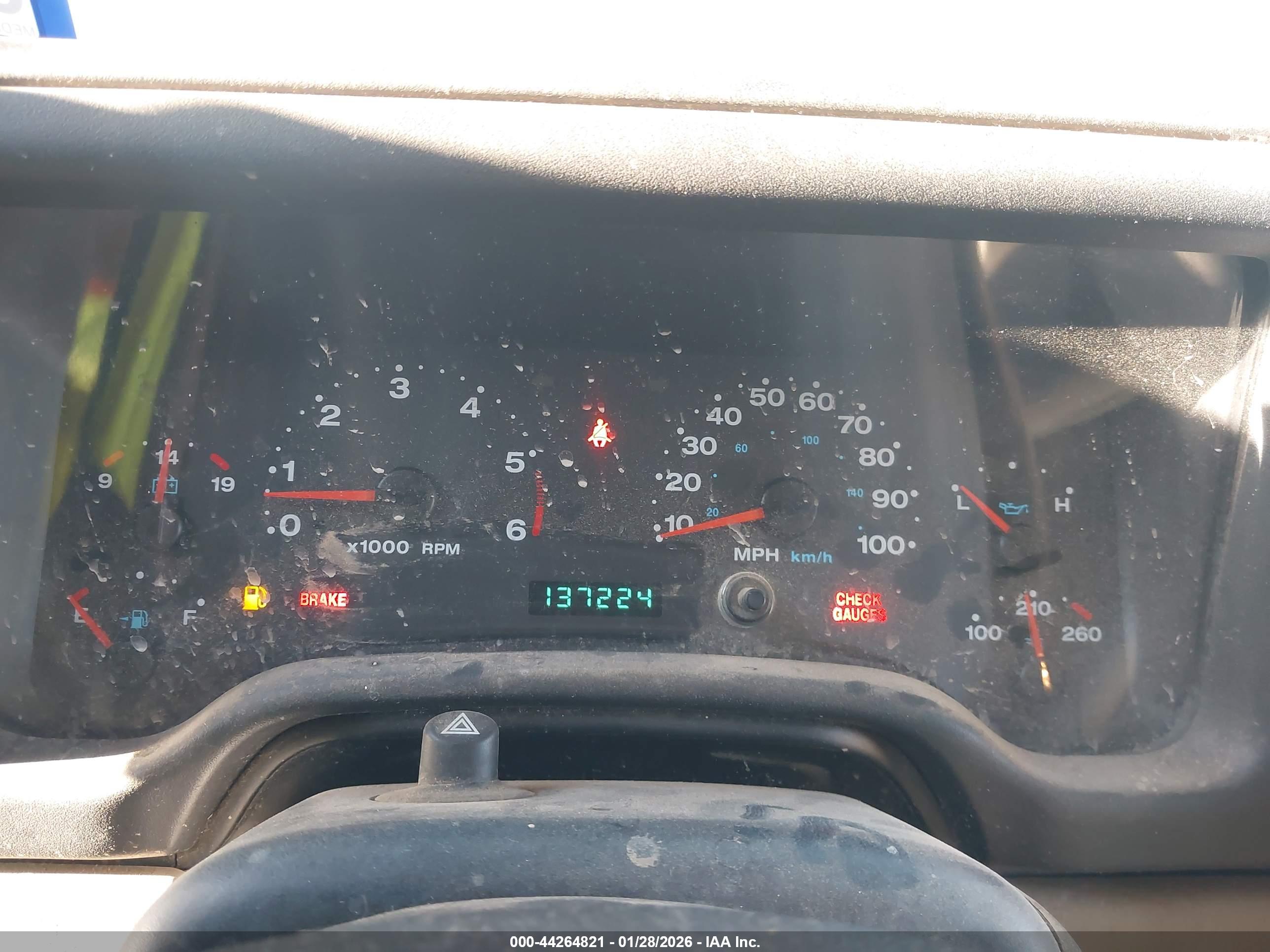 JEEP WRANGLER image 7