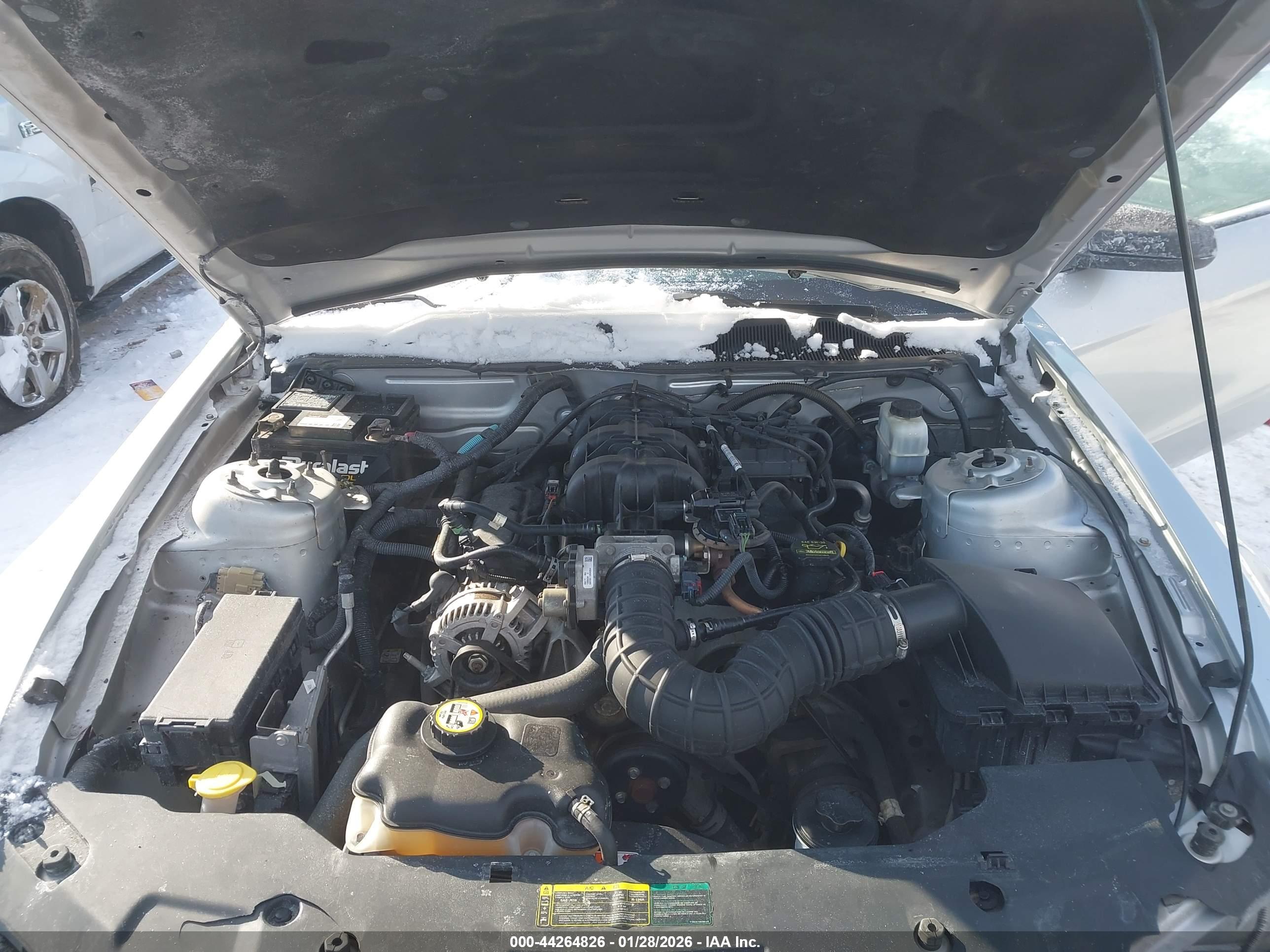 FORD MUSTANG image 10