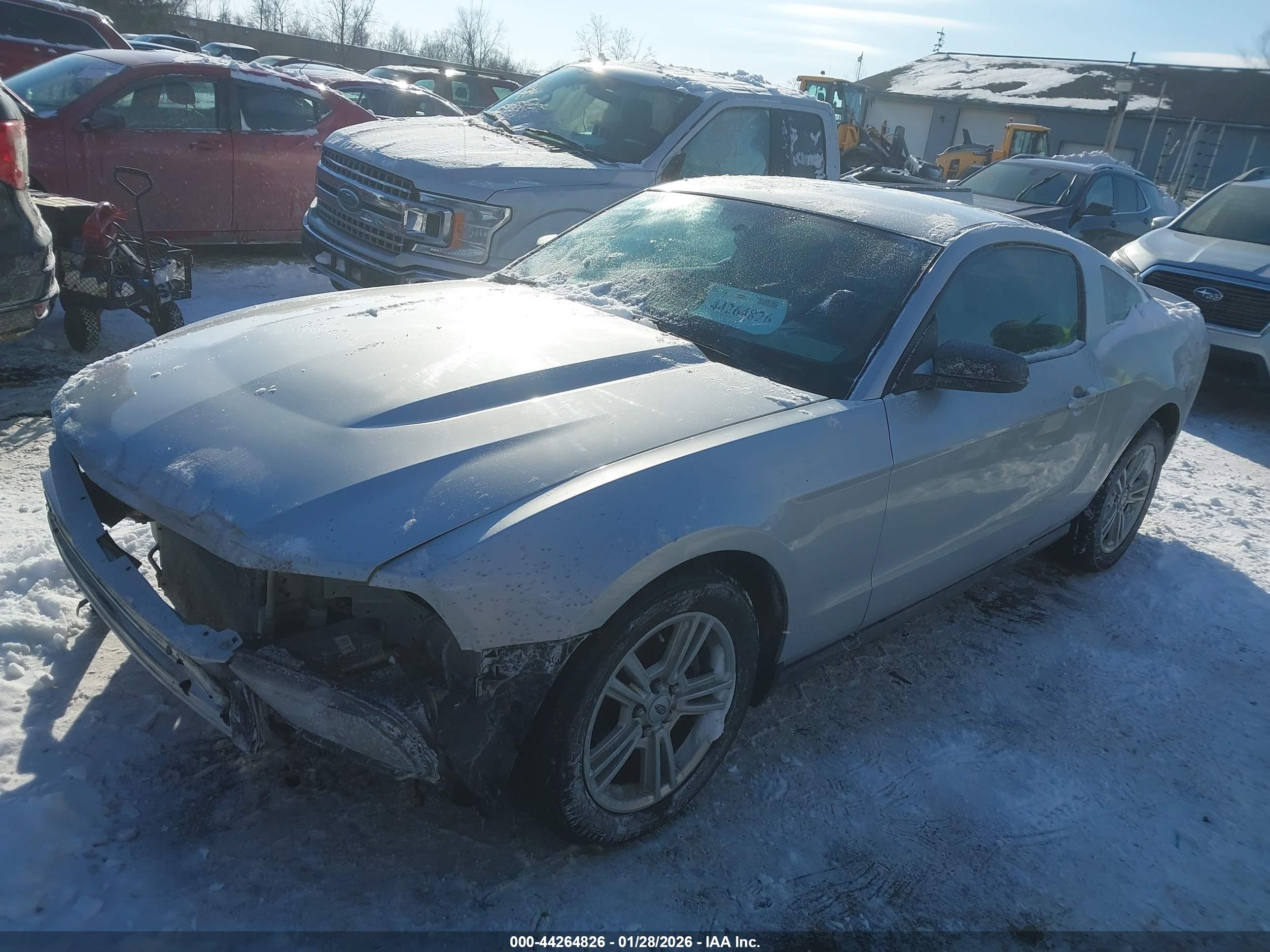 FORD MUSTANG image 2