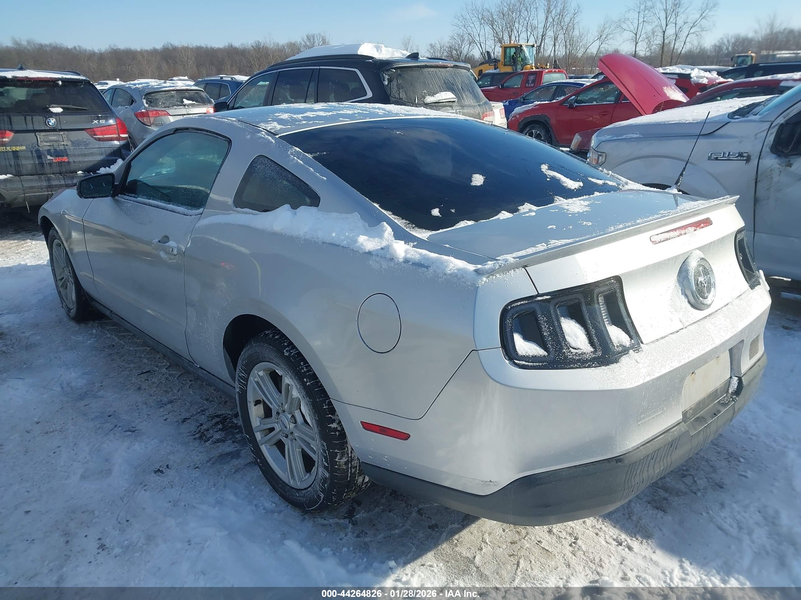 FORD MUSTANG image 3