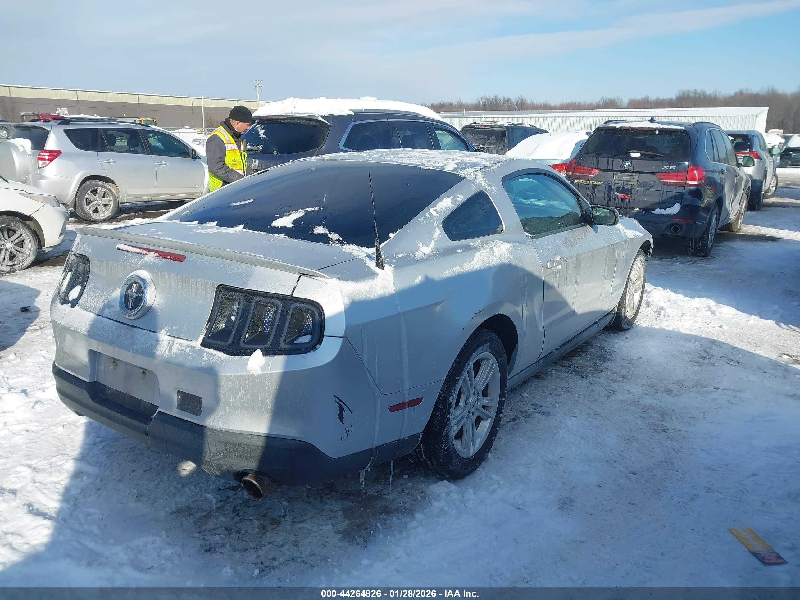 FORD MUSTANG image 4