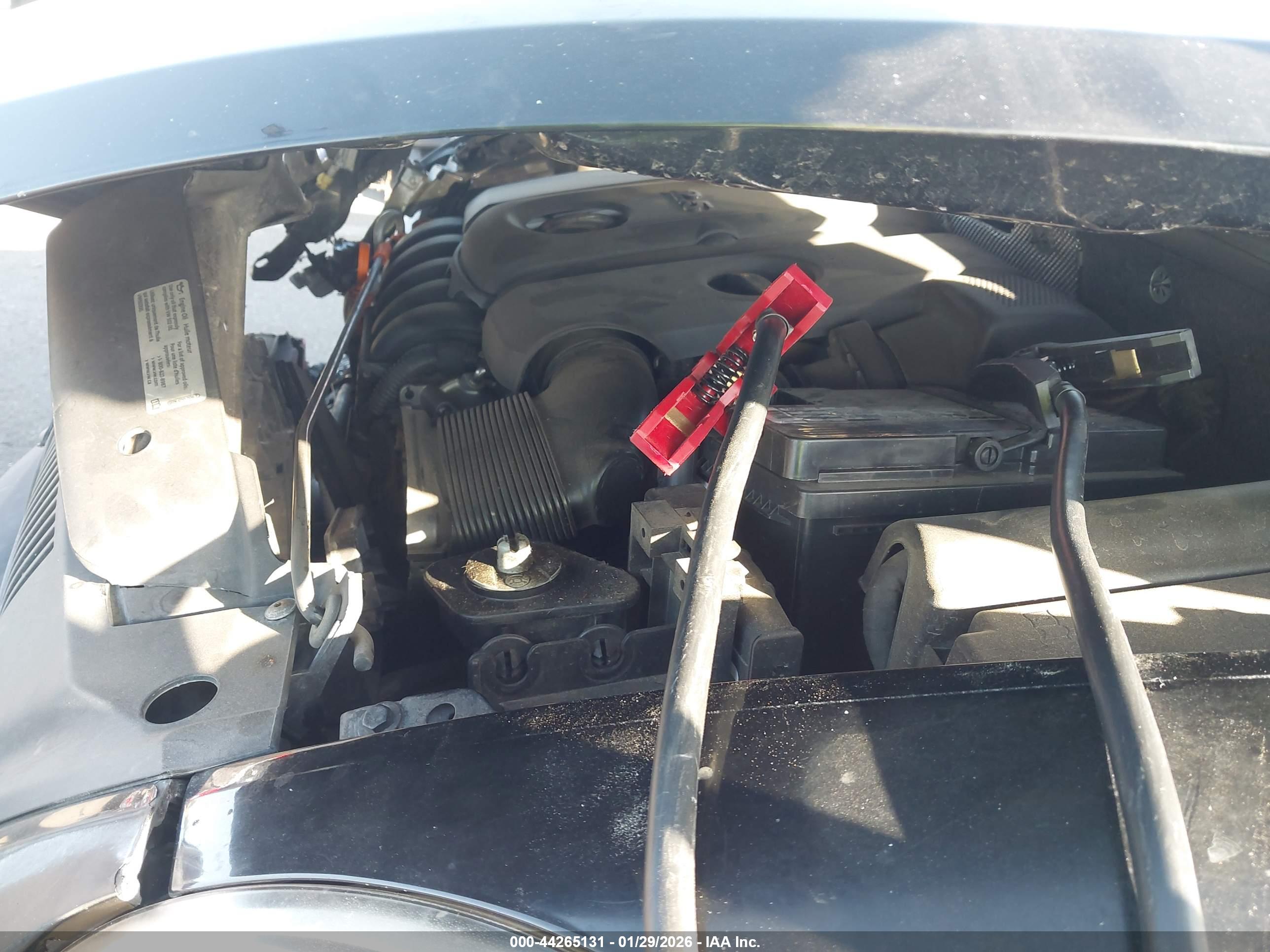 VOLKSWAGEN BEETLE image 10