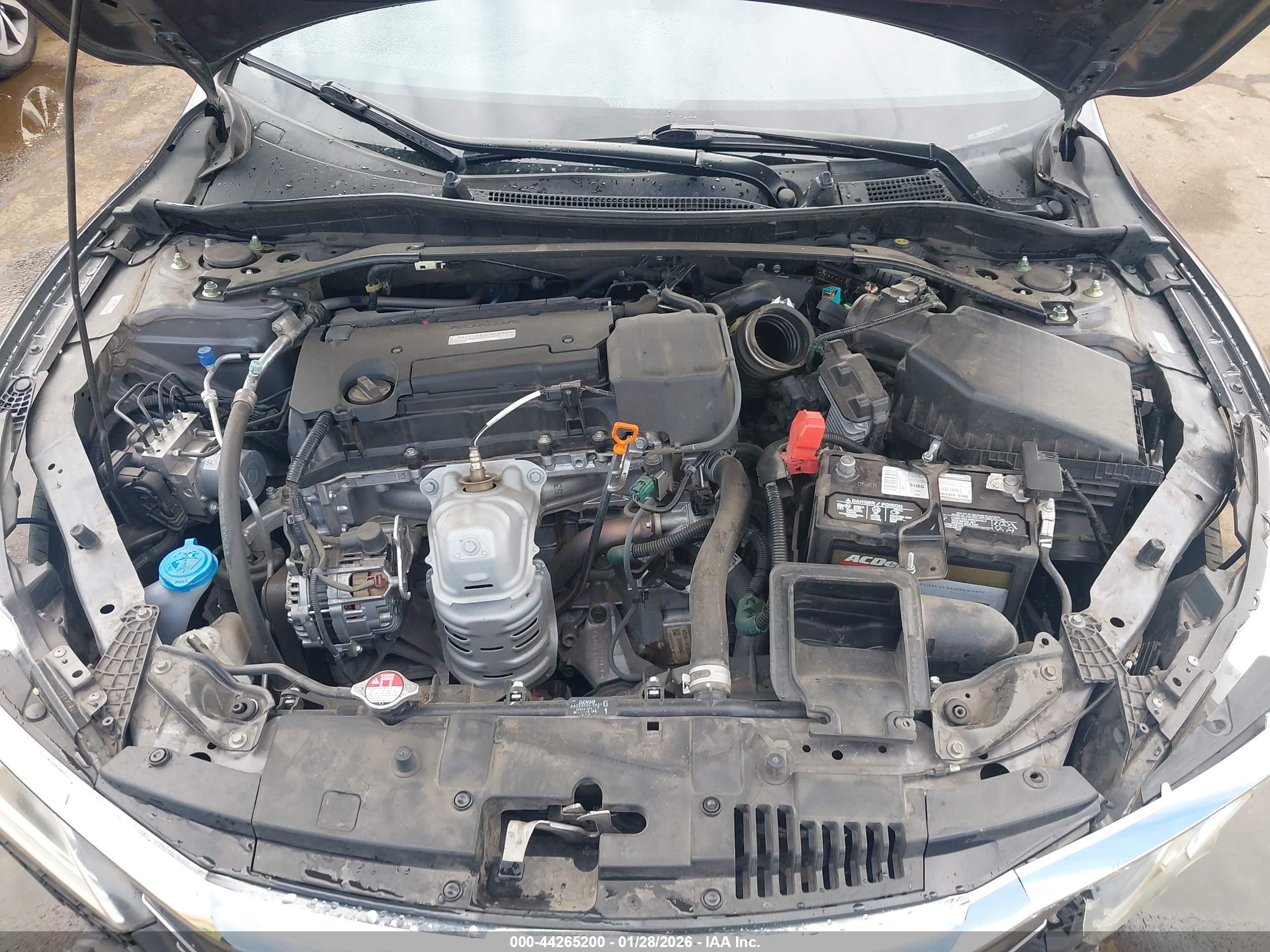 HONDA ACCORD image 10