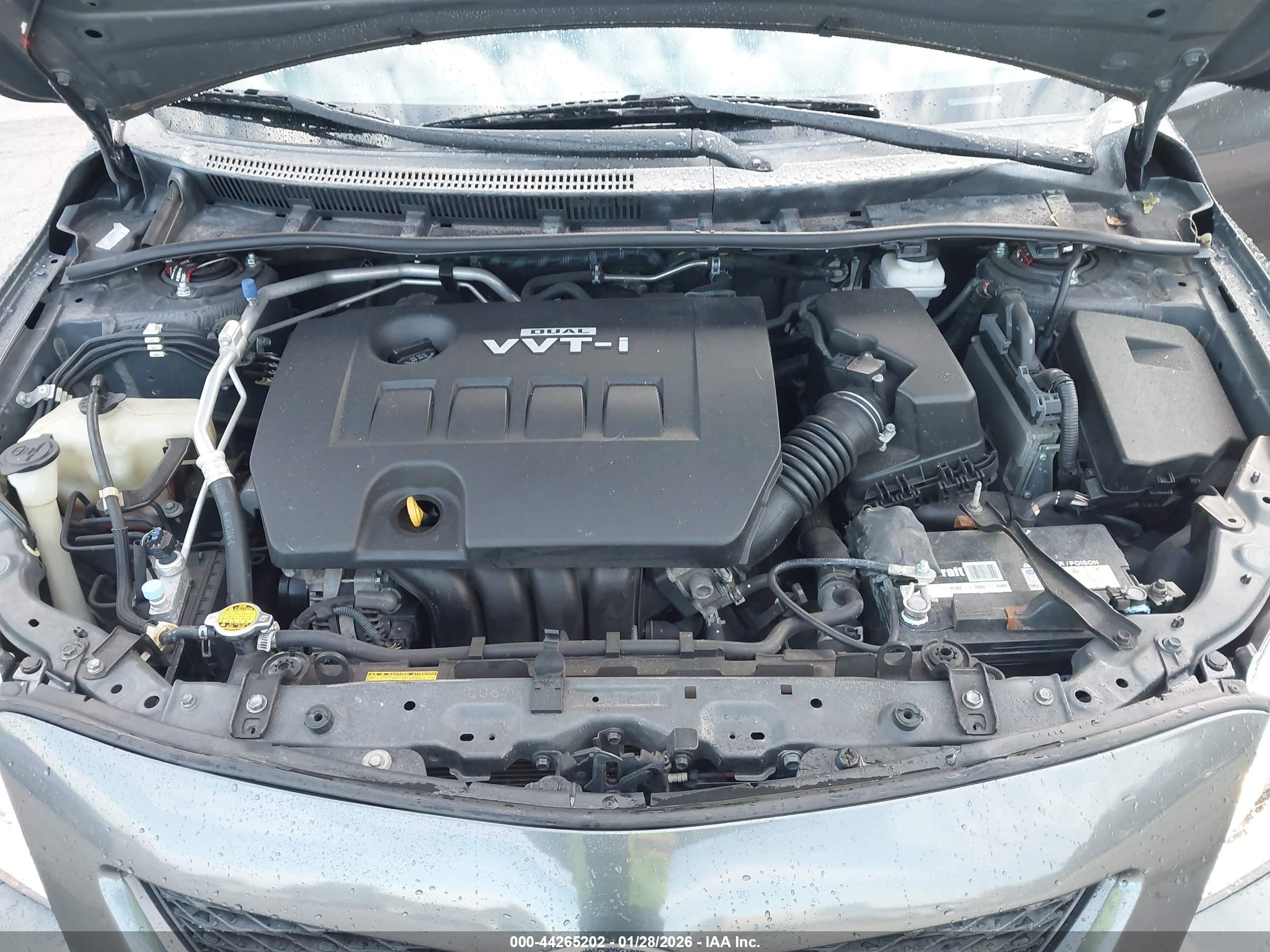 TOYOTA COROLLA image 10