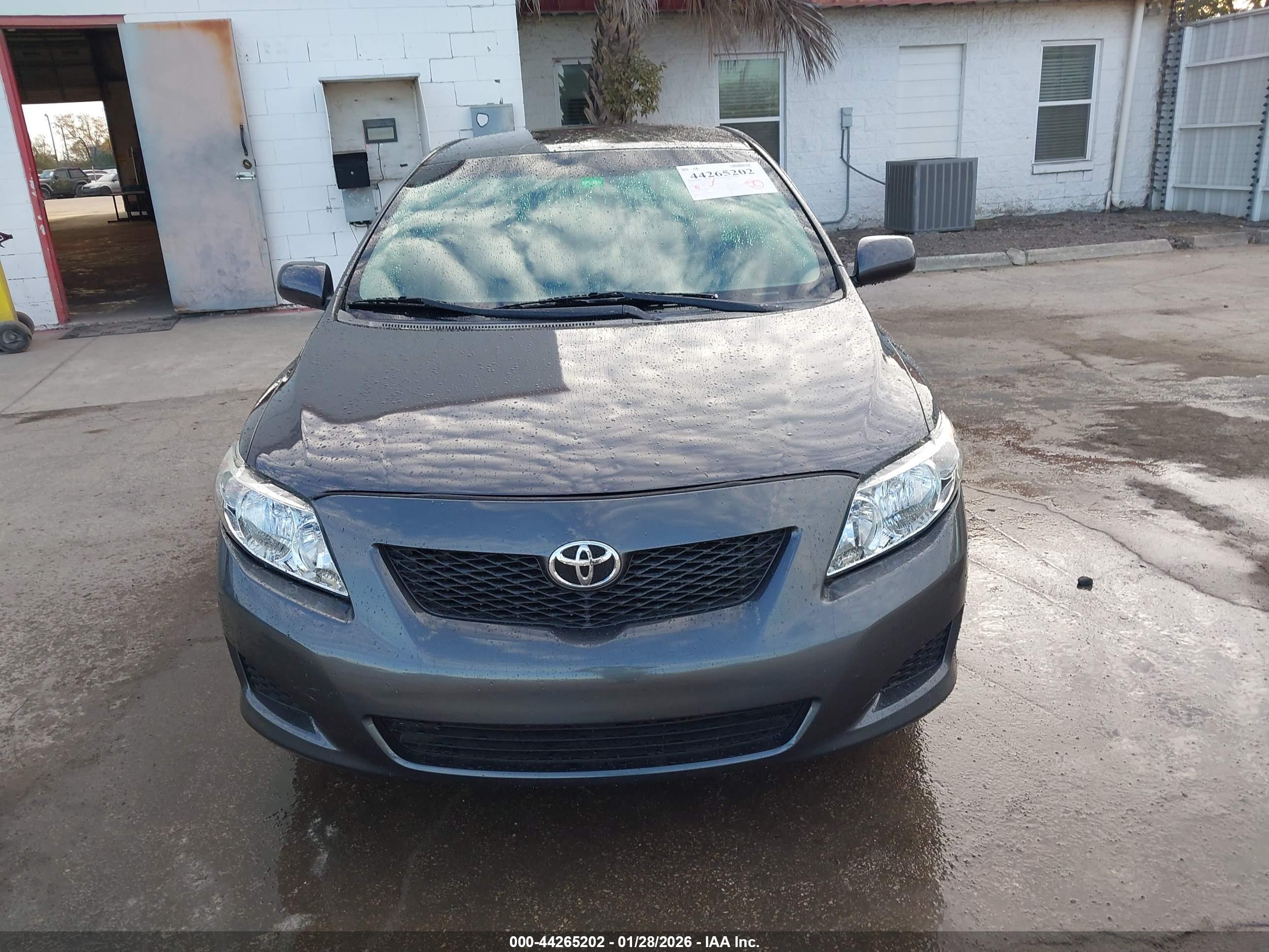 TOYOTA COROLLA image 6