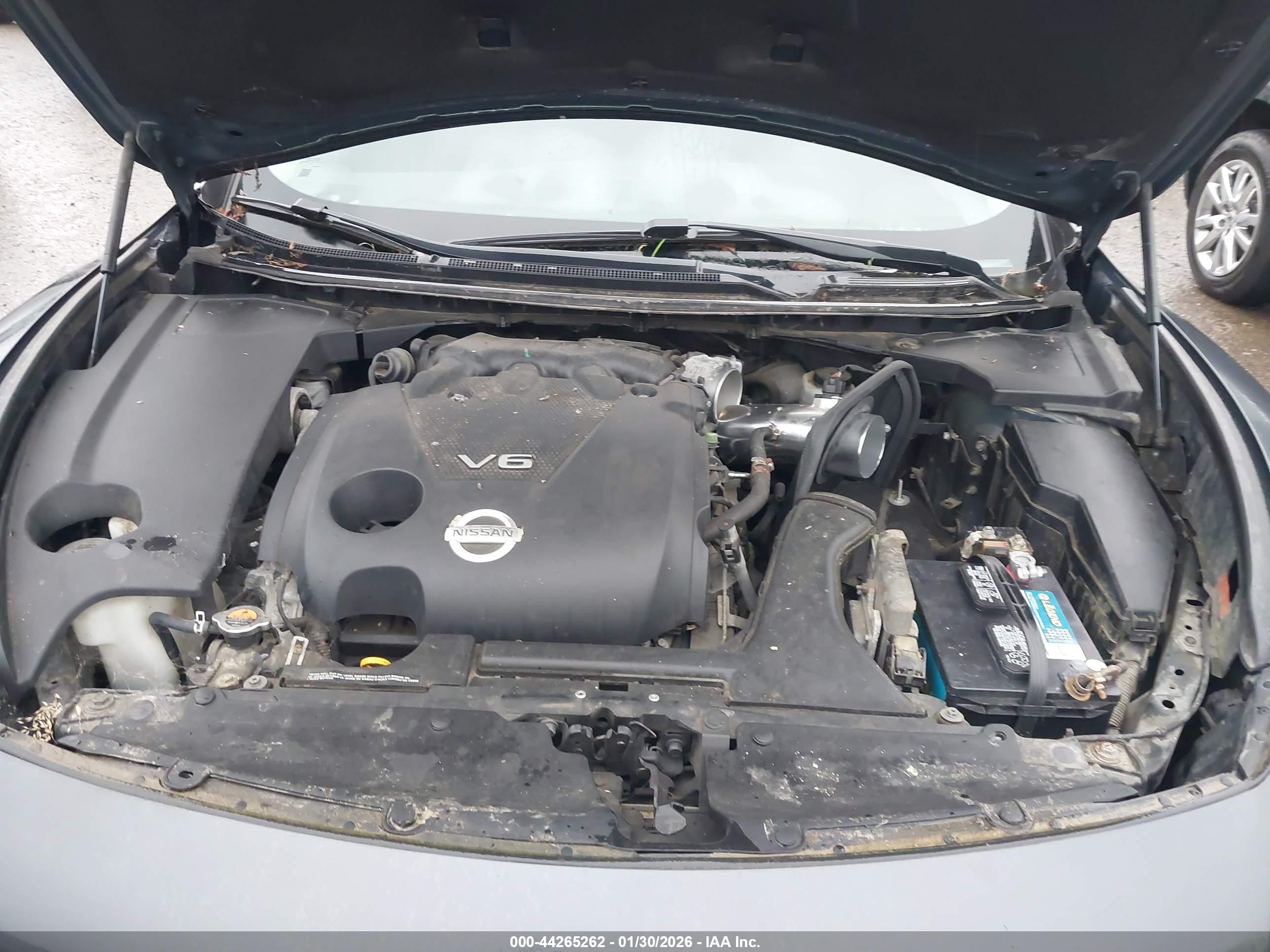 NISSAN MAXIMA image 10