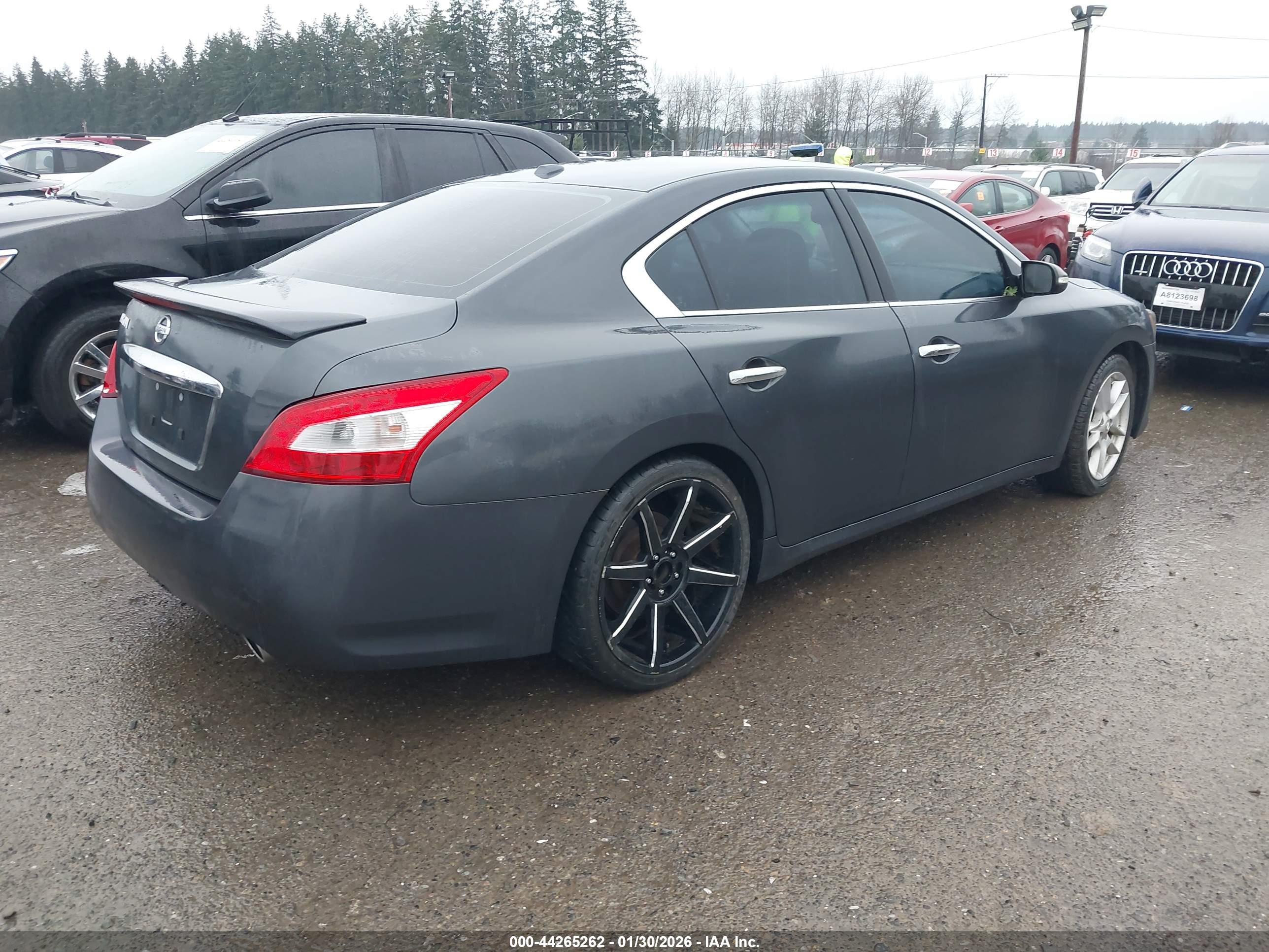 NISSAN MAXIMA image 4