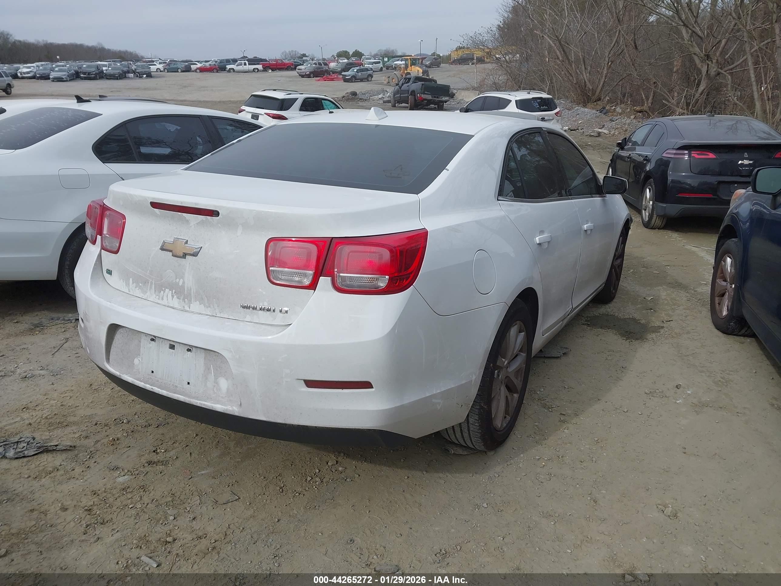 CHEVROLET MALIBU image 4