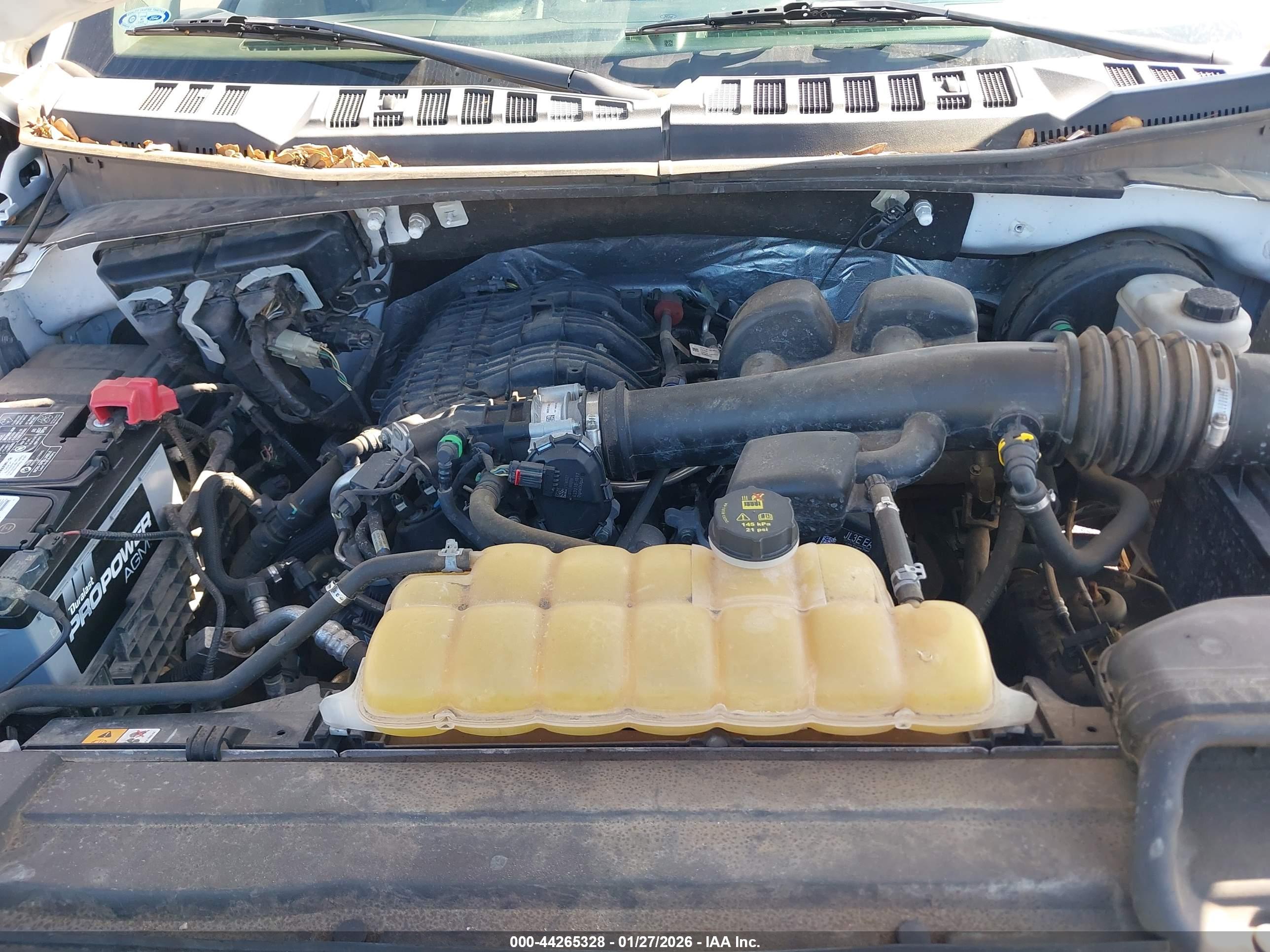 FORD F-150 image 10