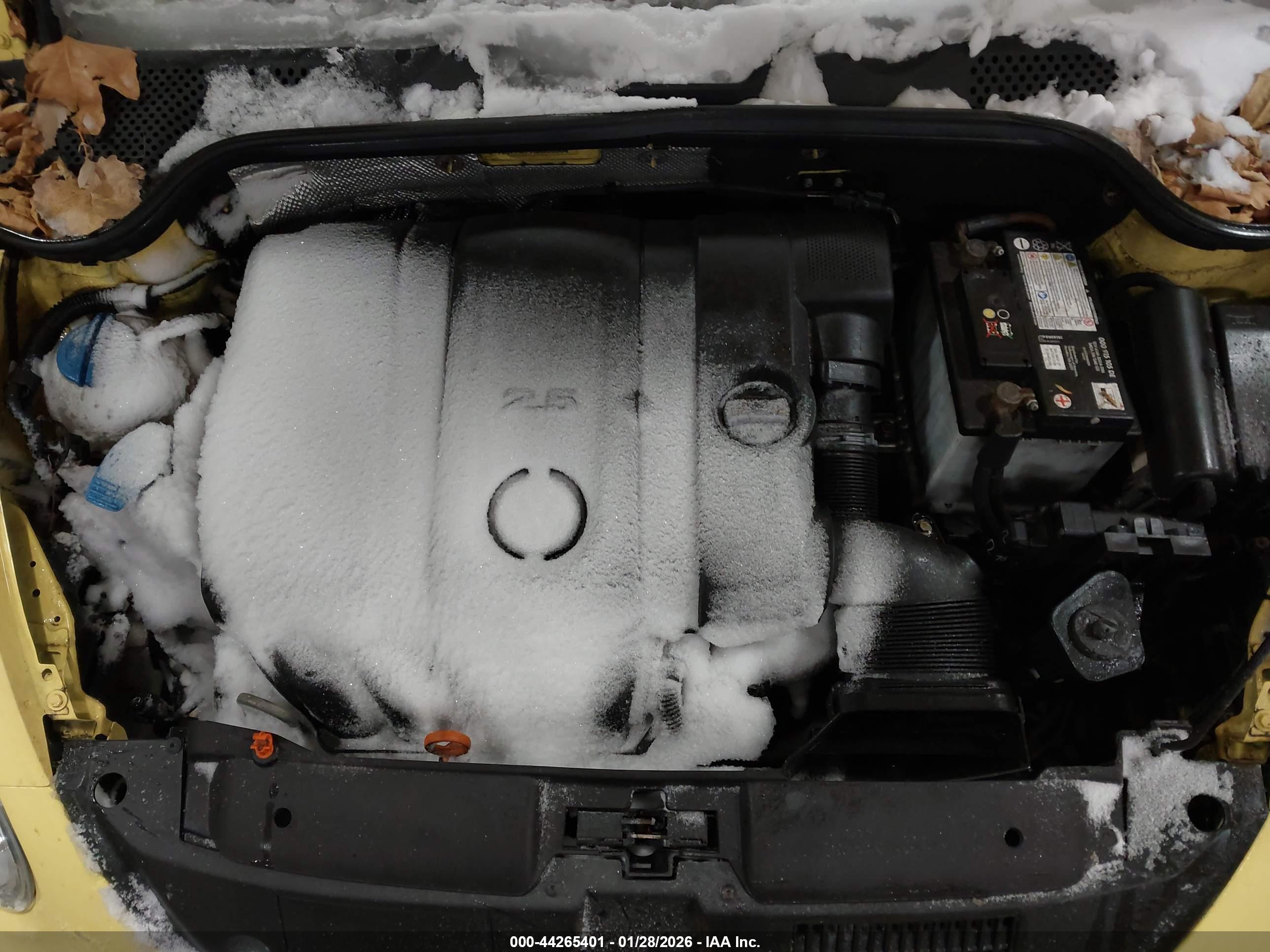 VOLKSWAGEN BEETLE image 10