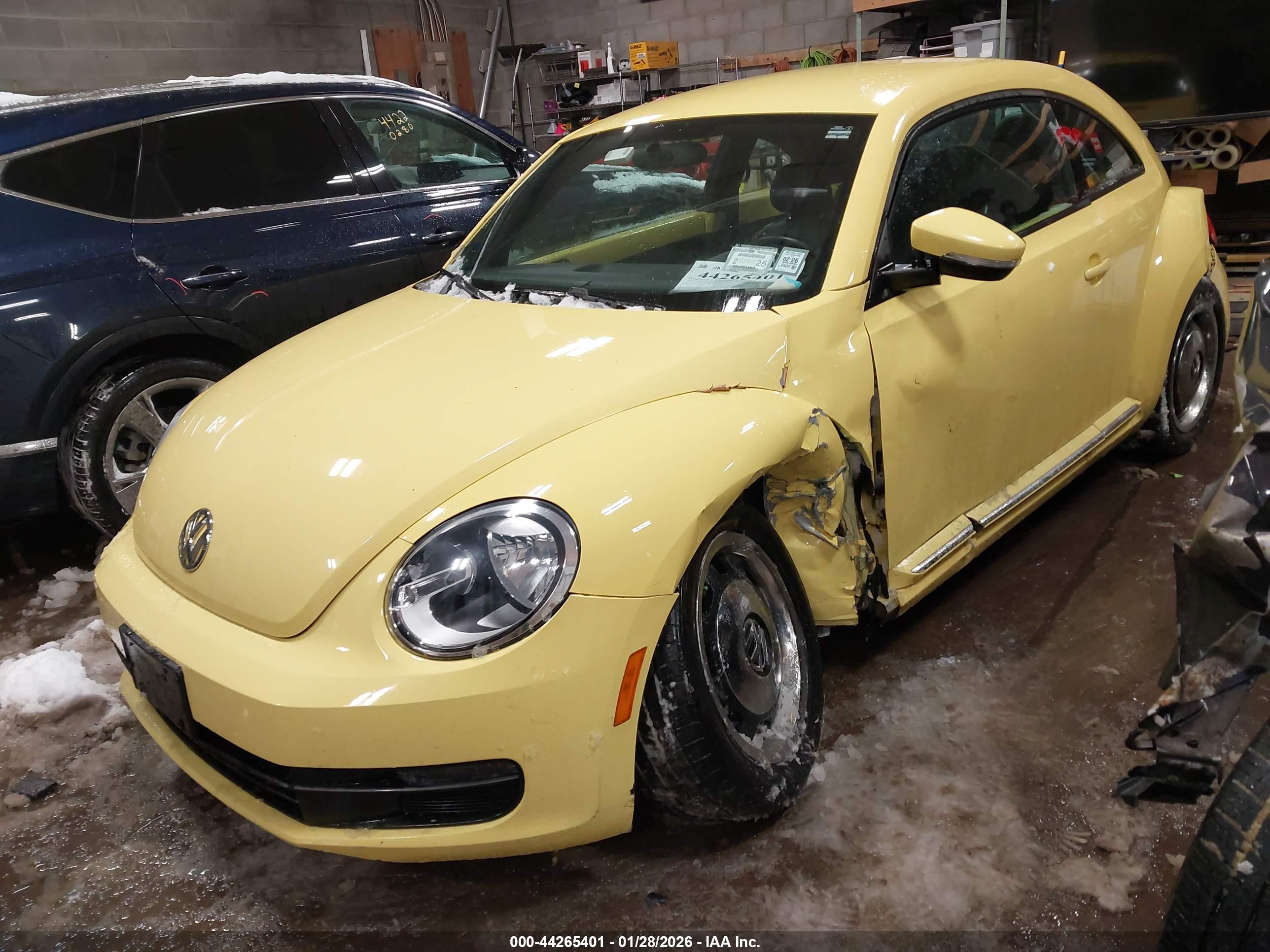 VOLKSWAGEN BEETLE image 6