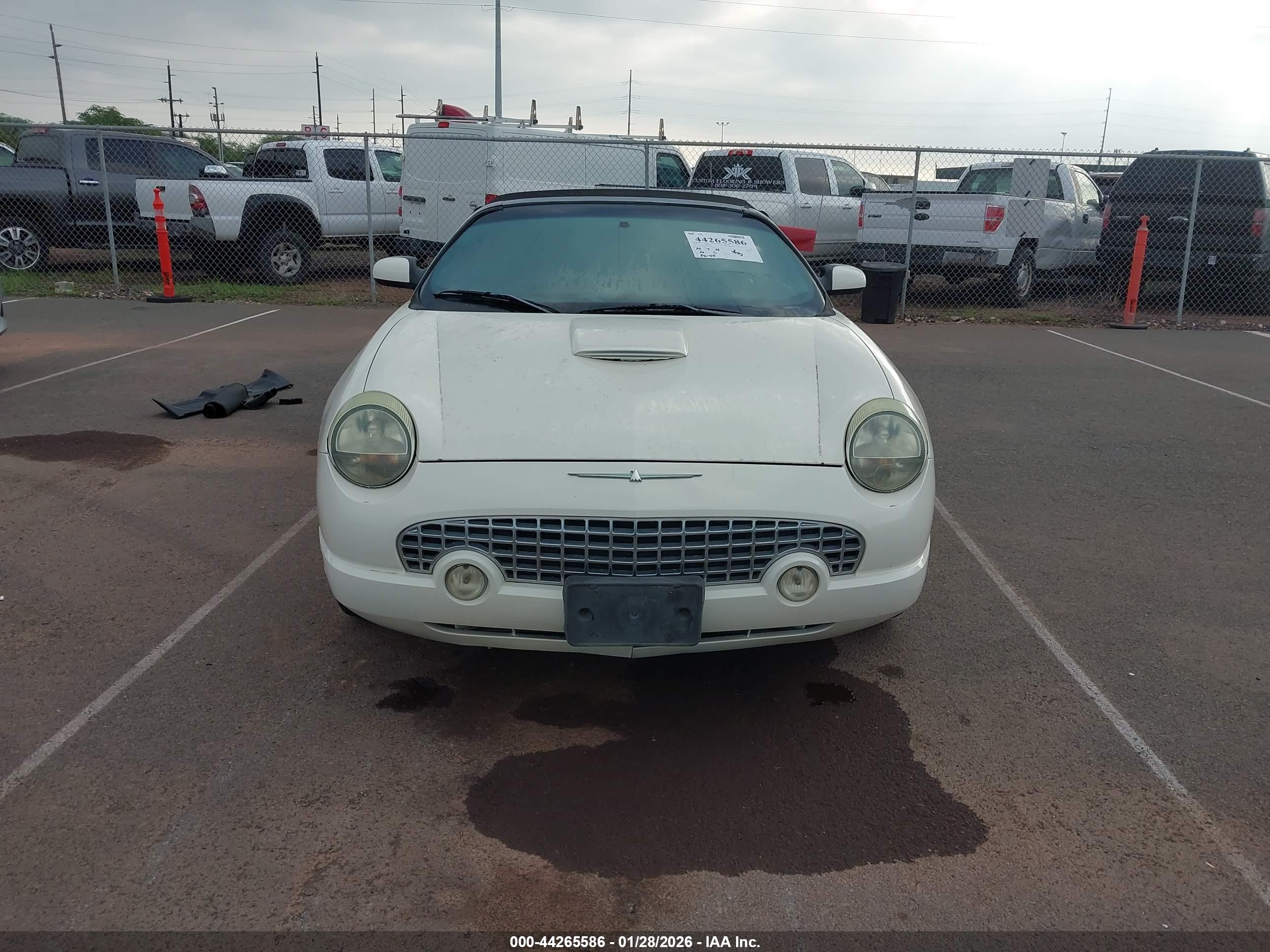 FORD THUNDERBIRD image 6
