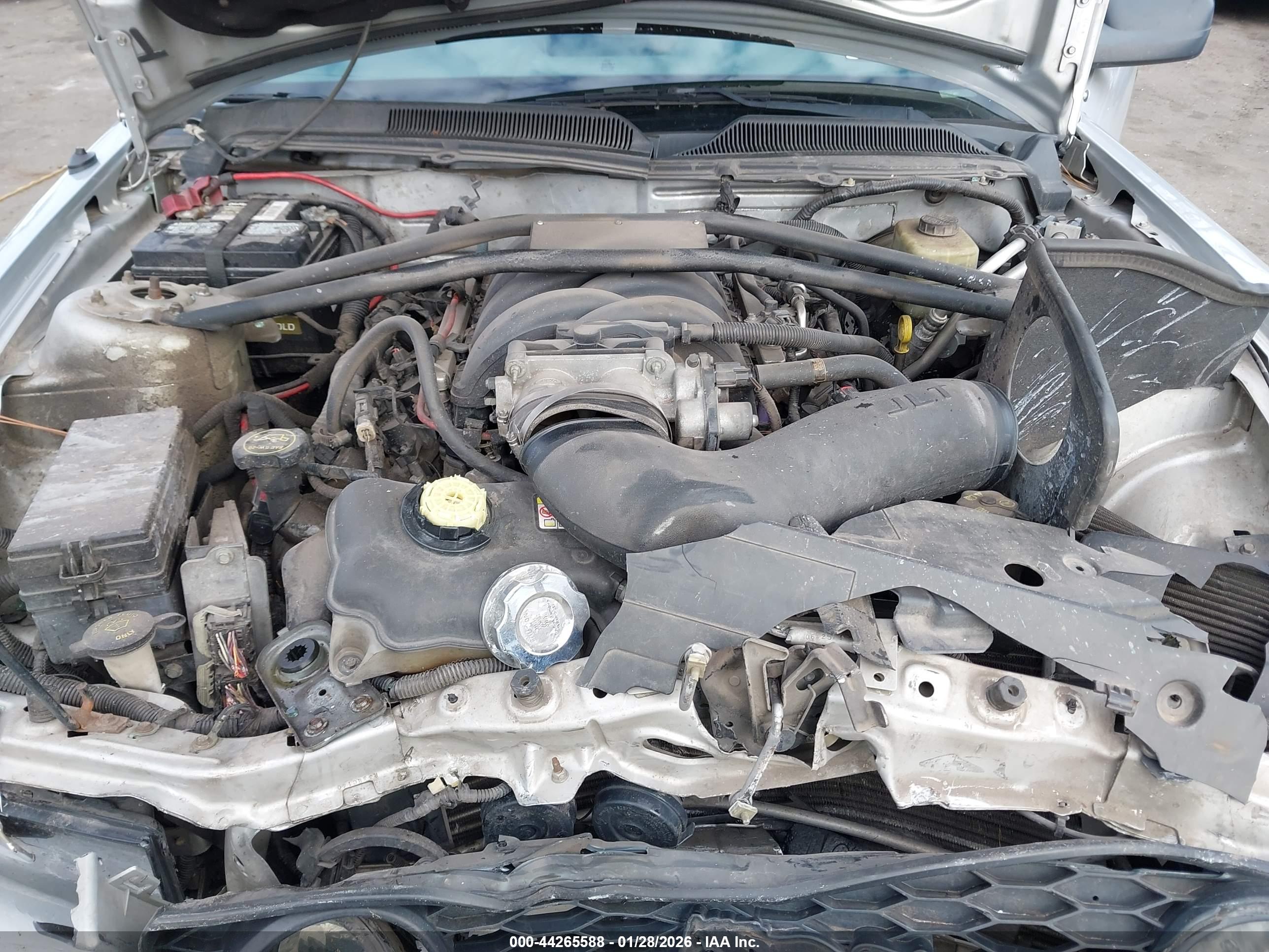 FORD MUSTANG image 10