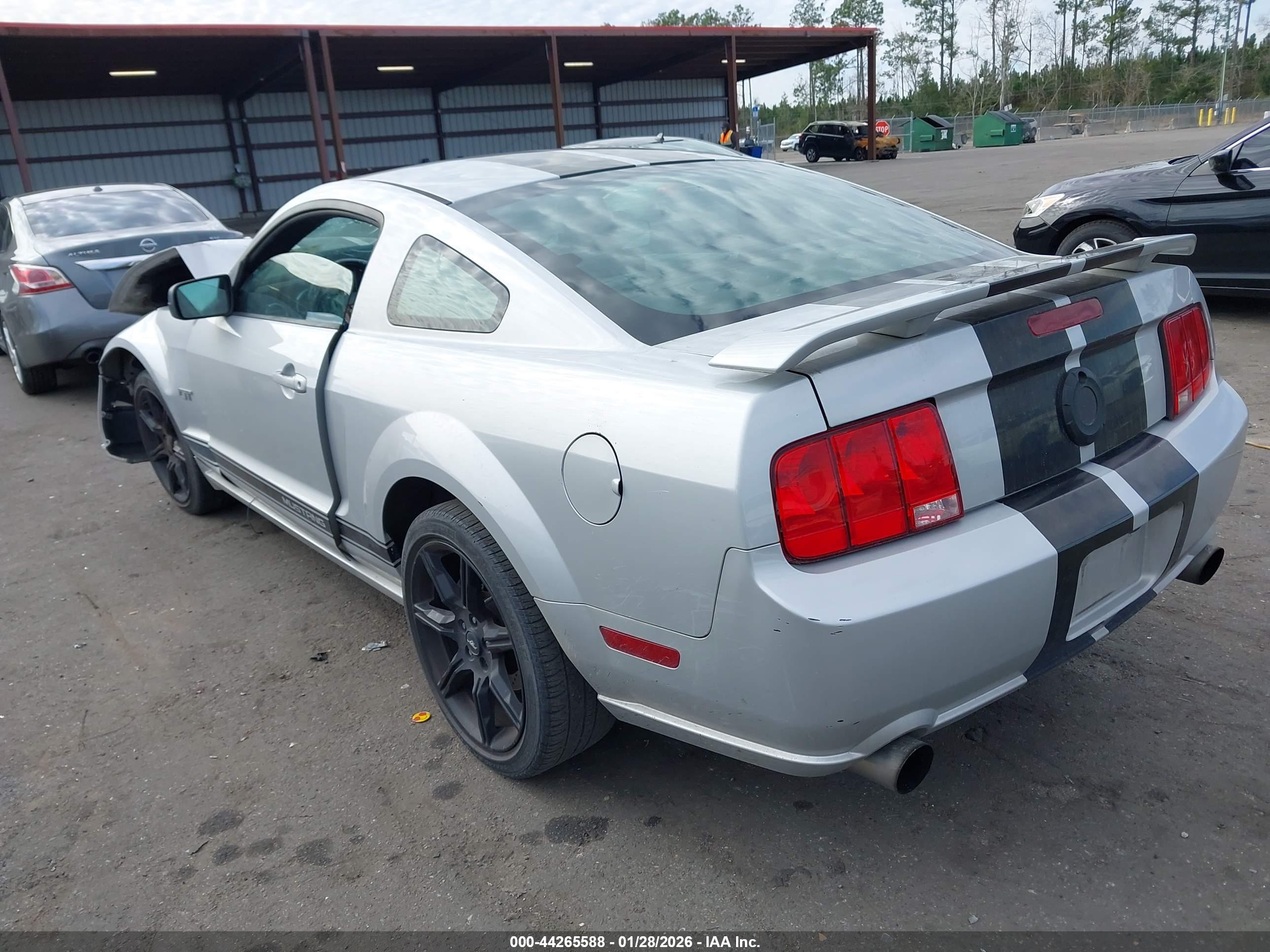 FORD MUSTANG image 3
