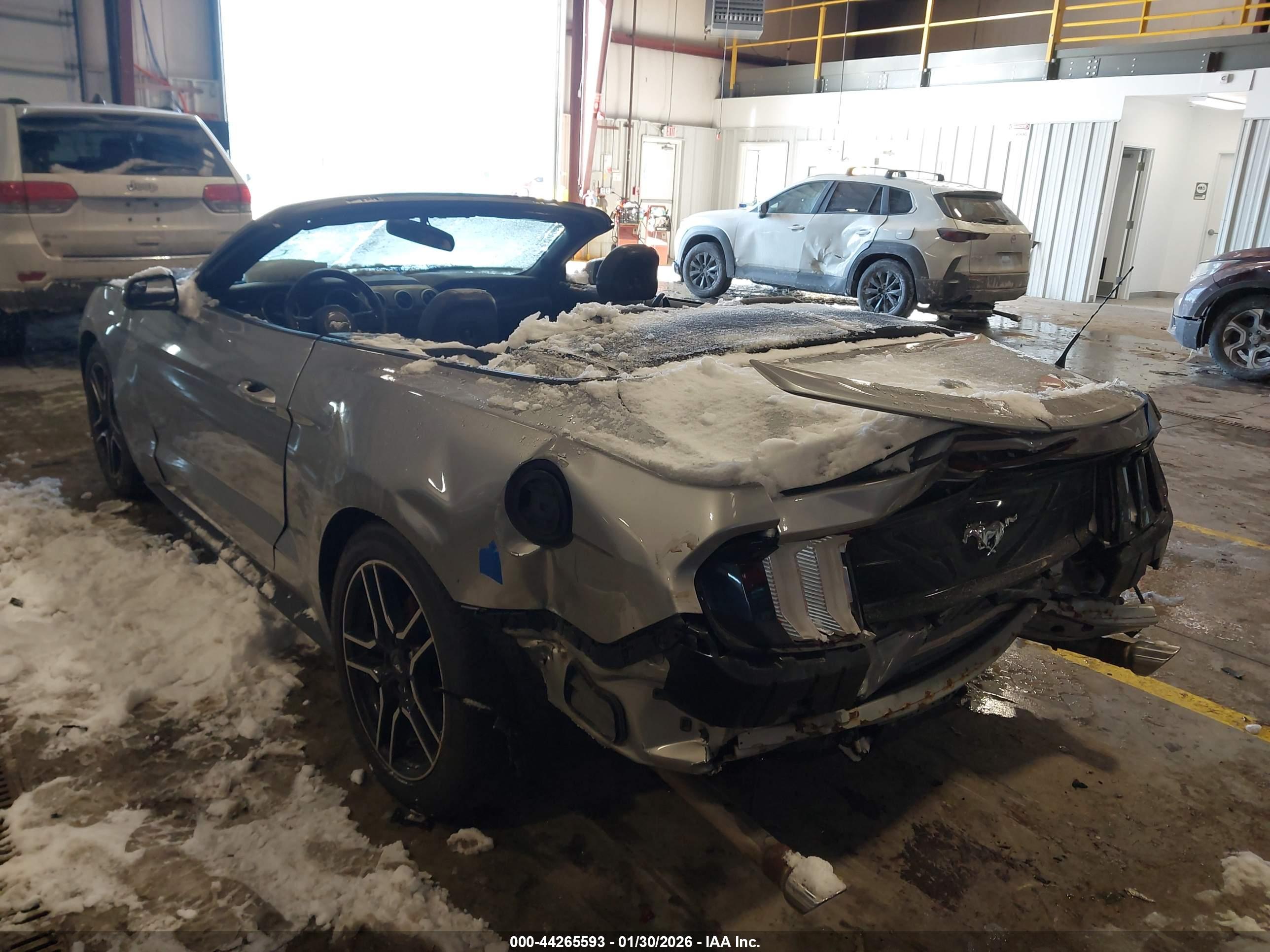 FORD MUSTANG image 3