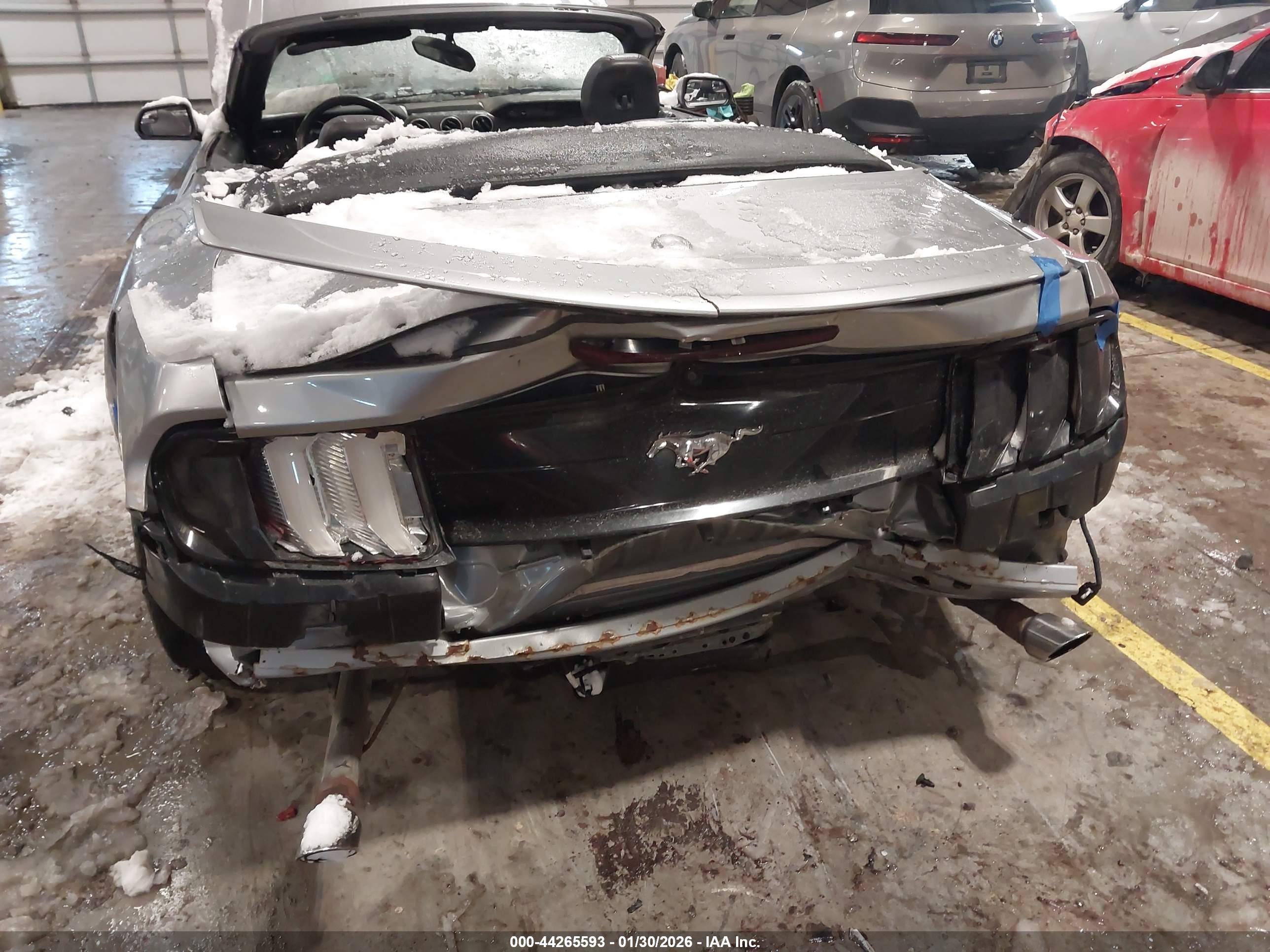 FORD MUSTANG image 6
