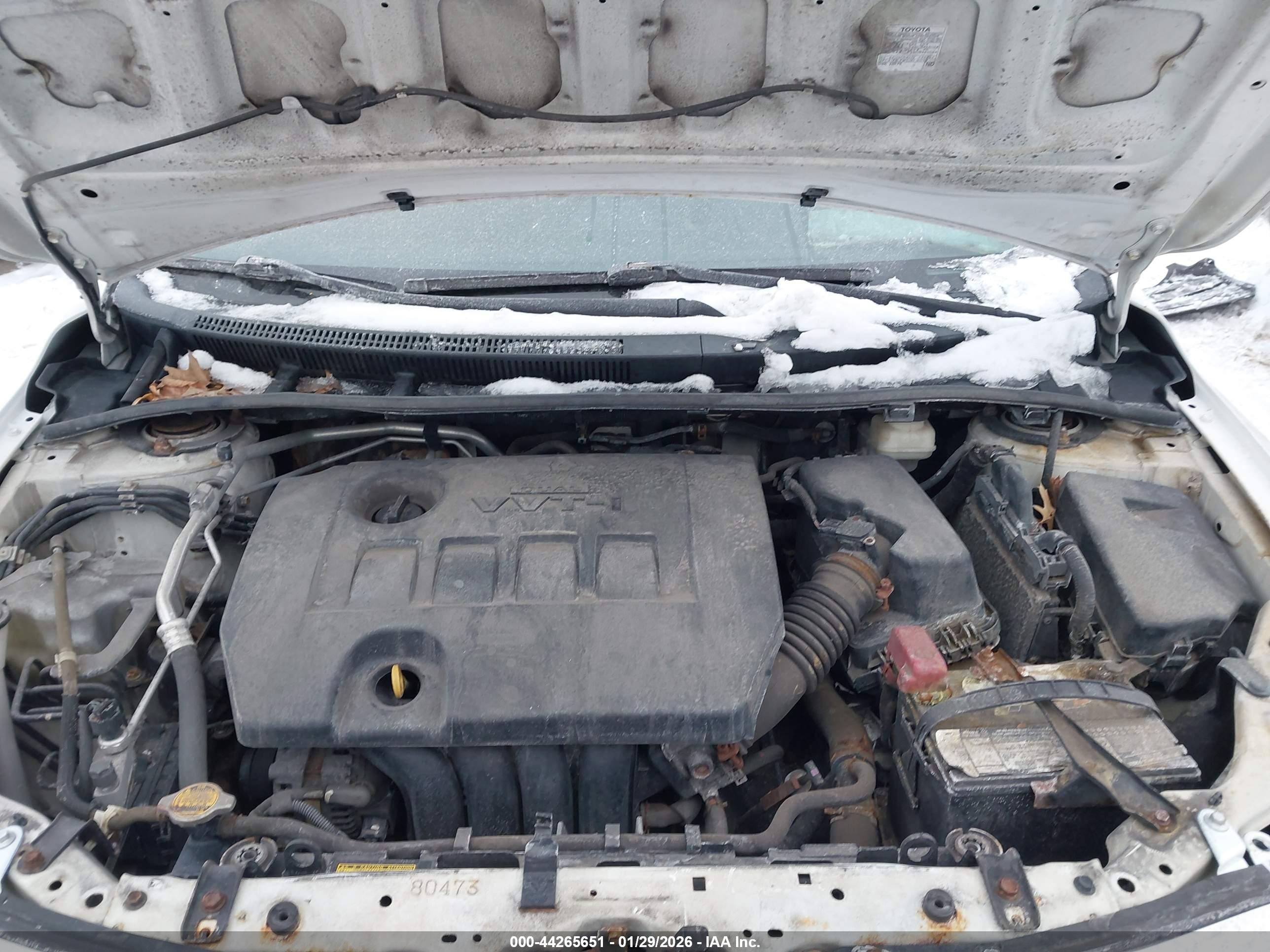 TOYOTA COROLLA image 10