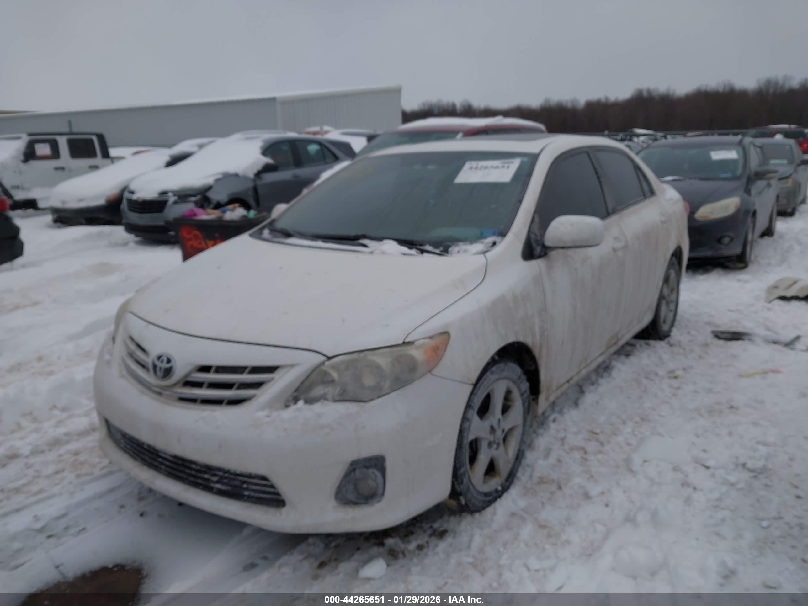 TOYOTA COROLLA image 2