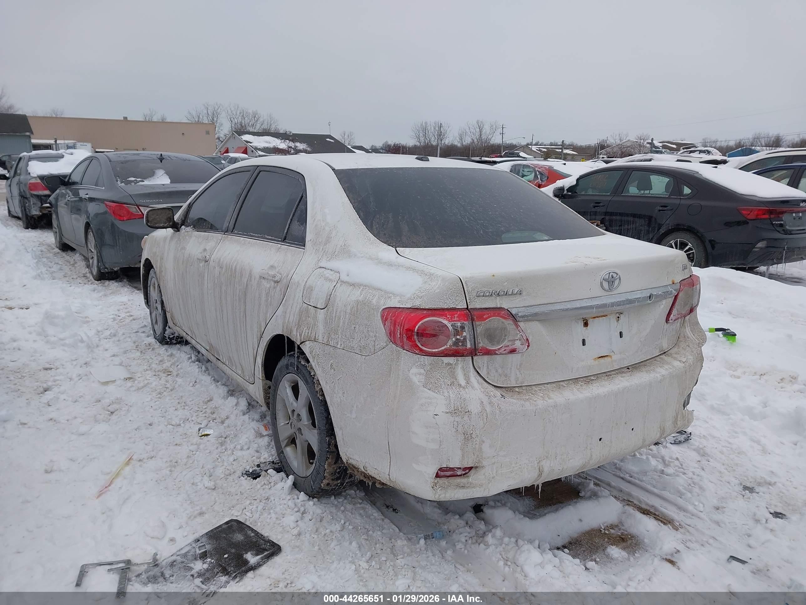 TOYOTA COROLLA image 3