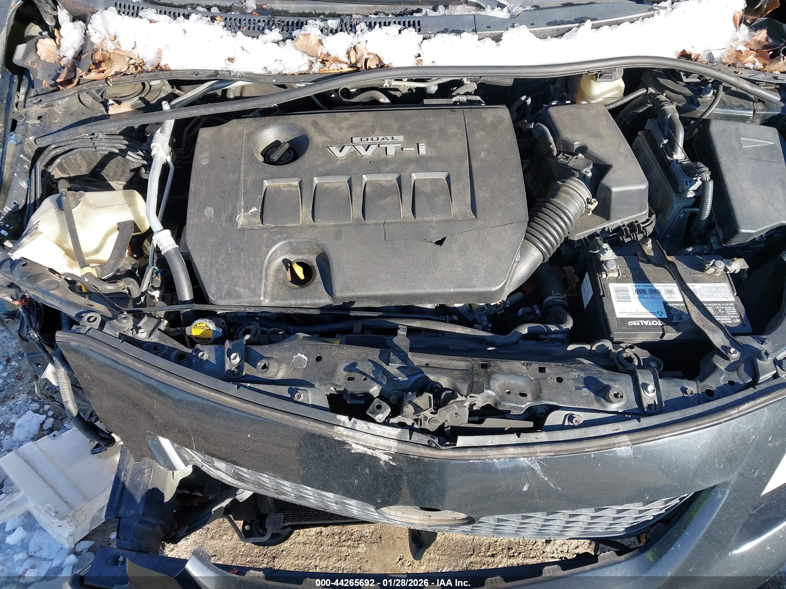 TOYOTA COROLLA image 10