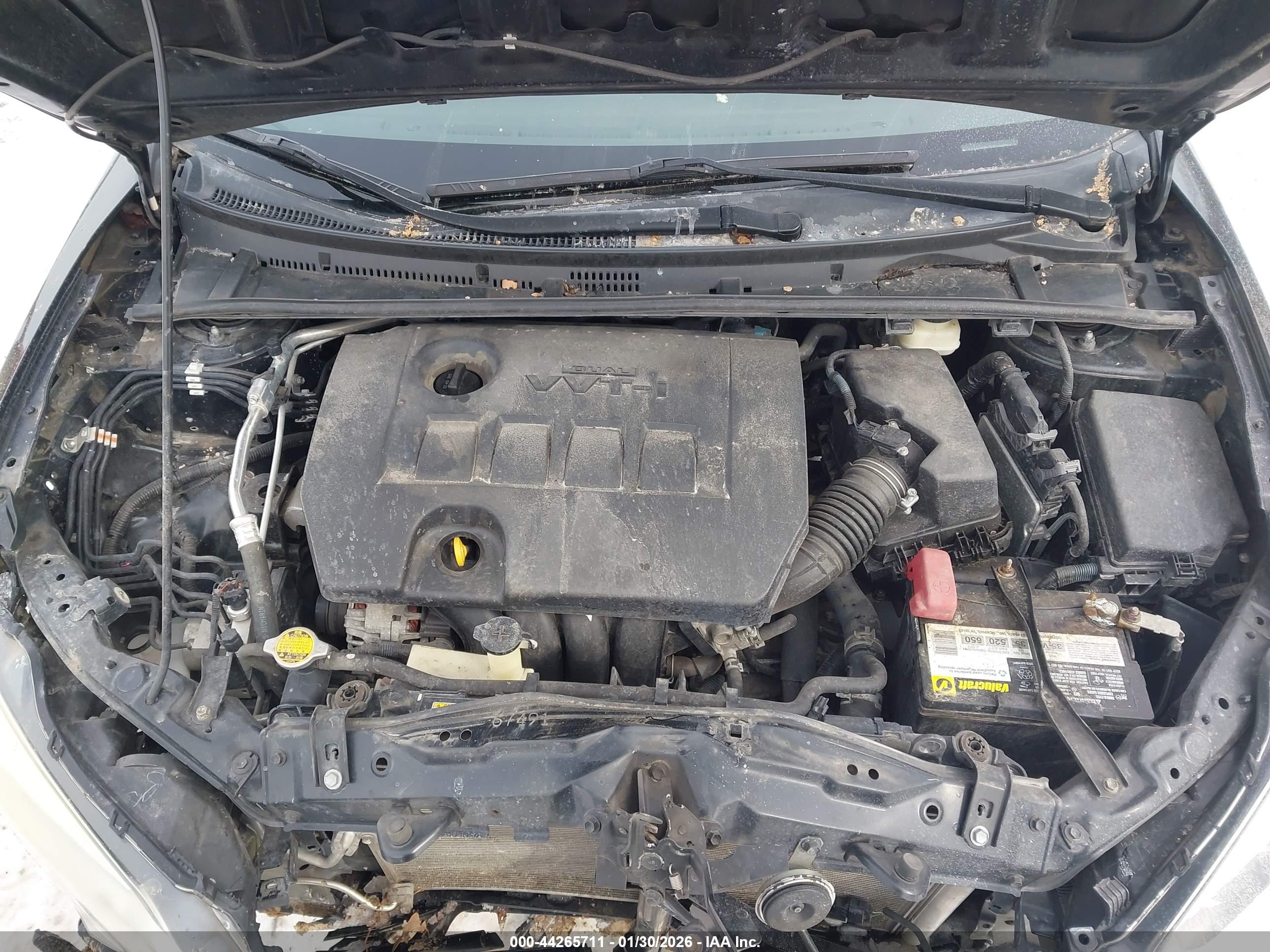 TOYOTA COROLLA image 10