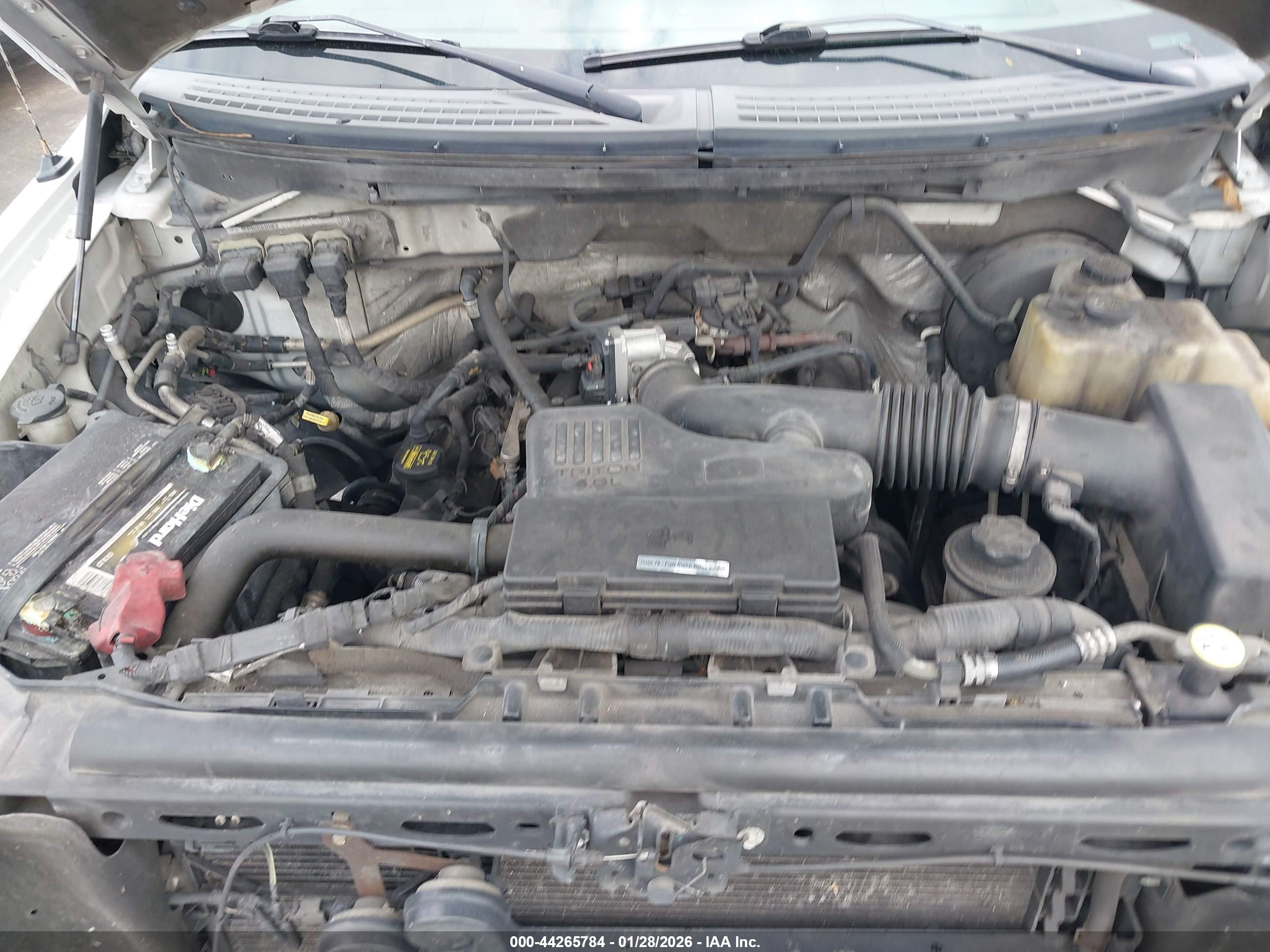 FORD F-150 image 10