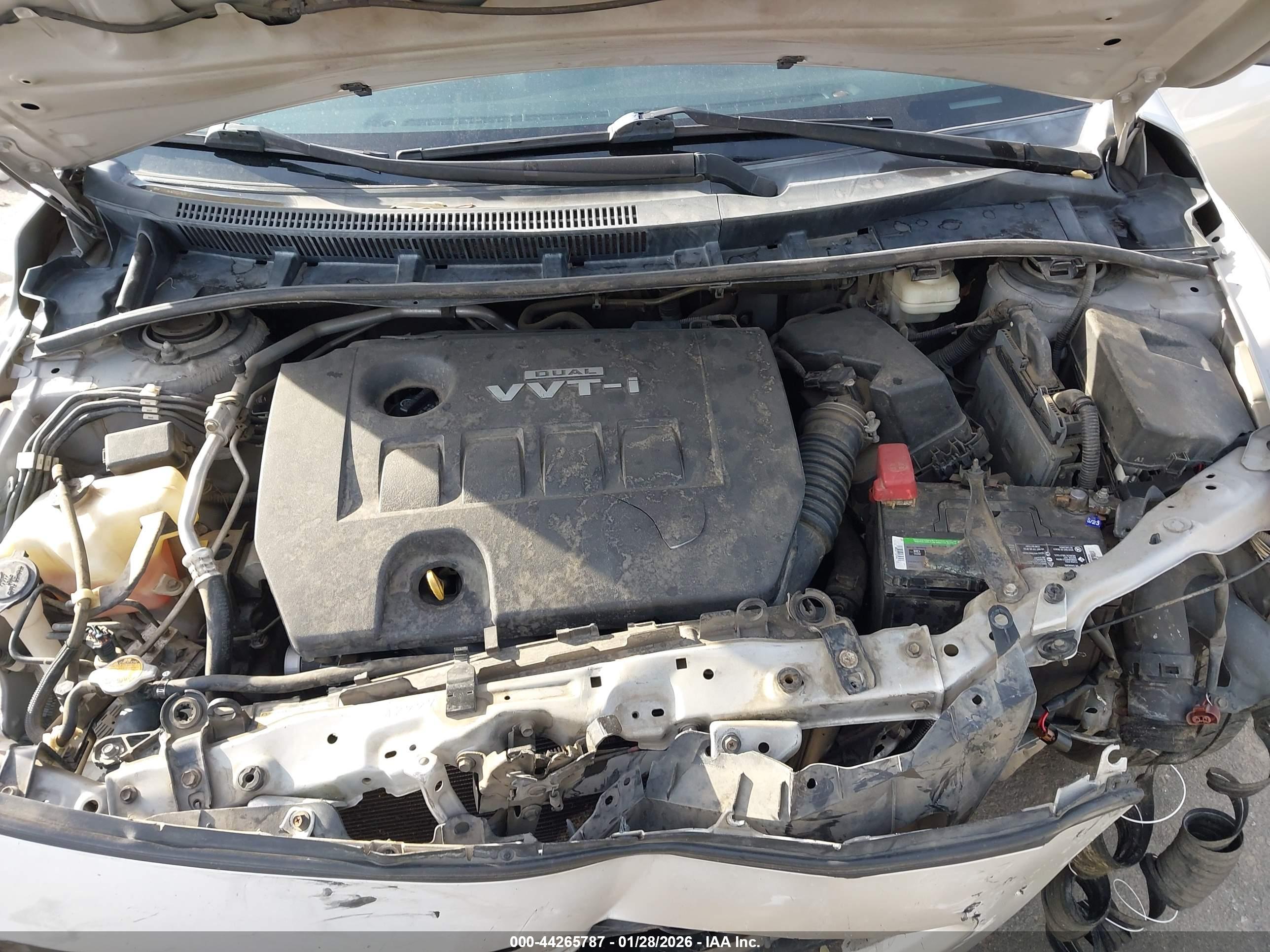 TOYOTA COROLLA image 10