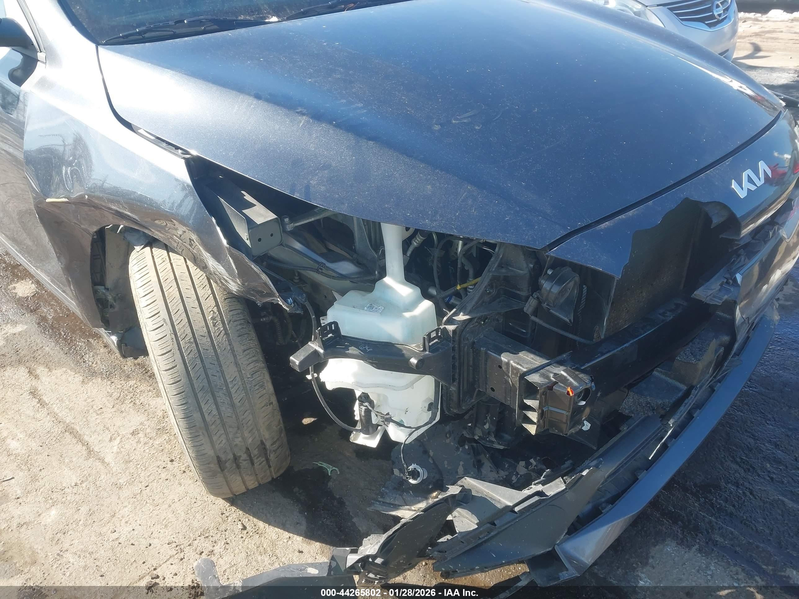 KIA FORTE image 6