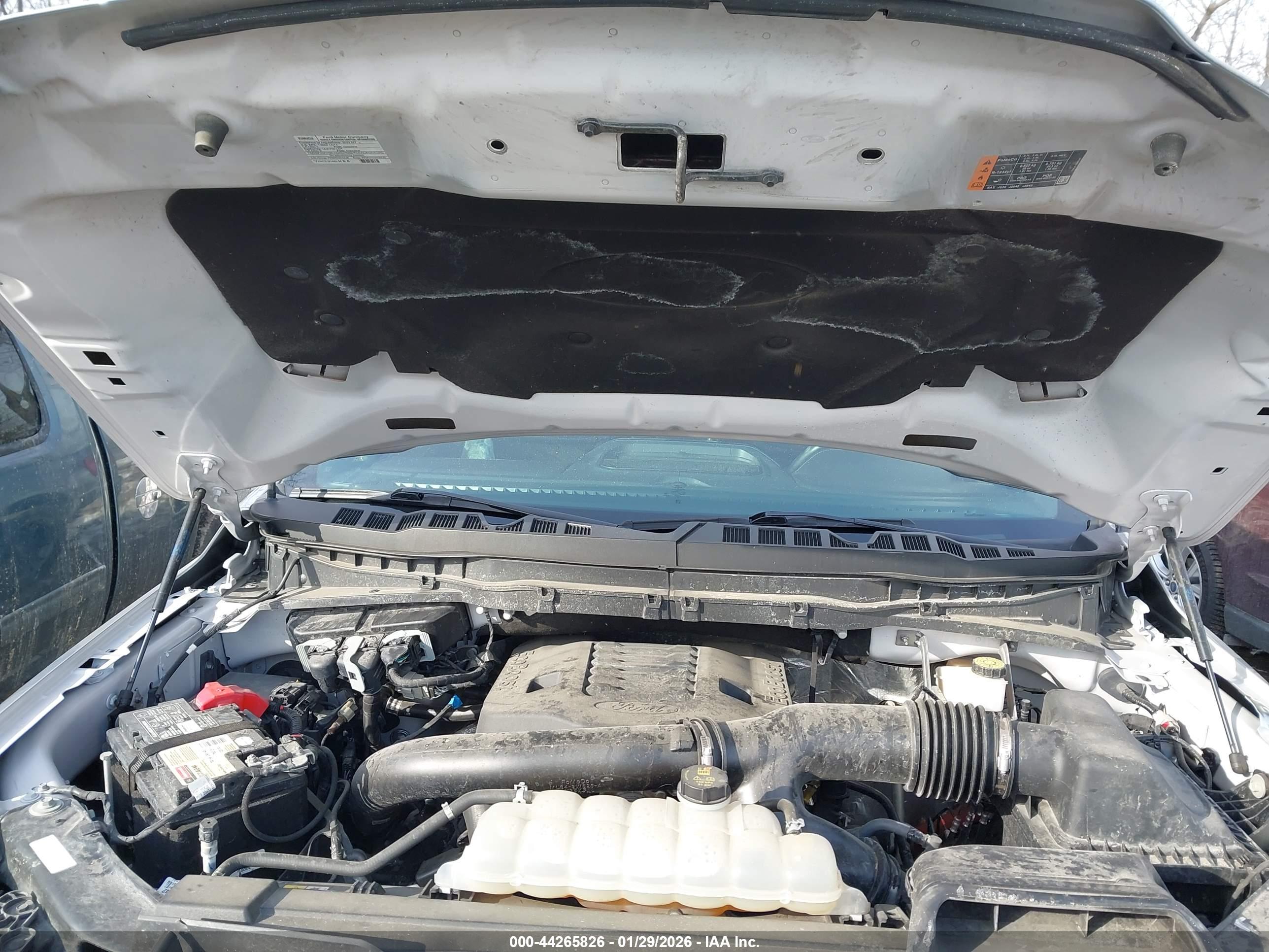 FORD F-150 image 10