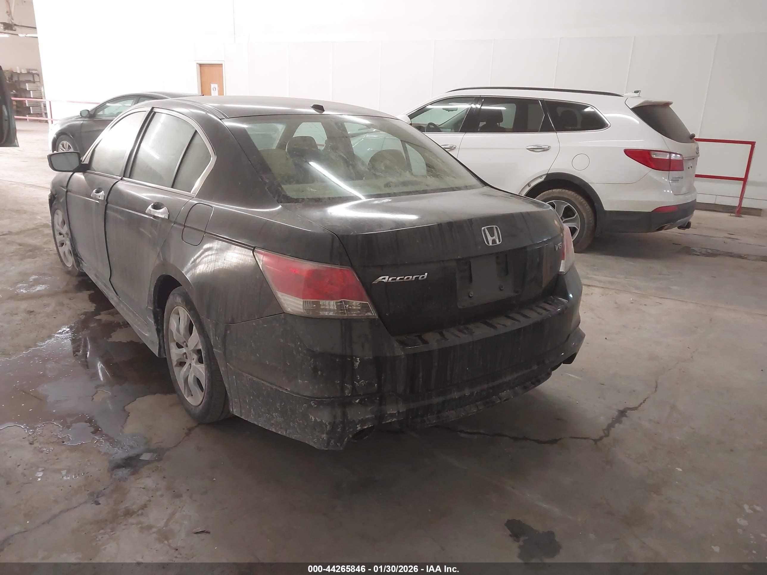 HONDA ACCORD image 3