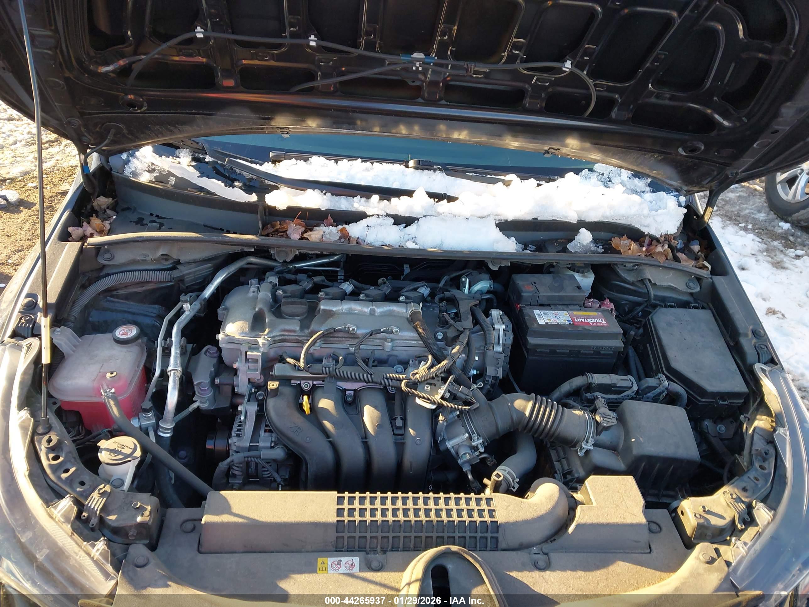 TOYOTA COROLLA image 10