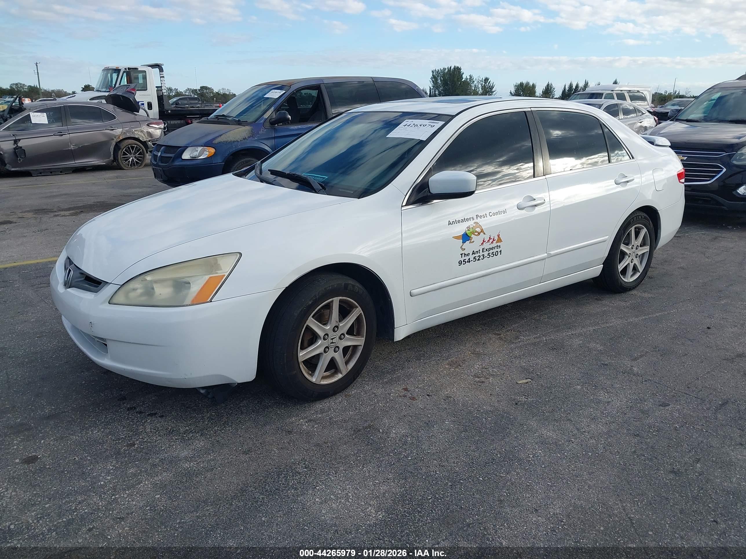 HONDA ACCORD image 2