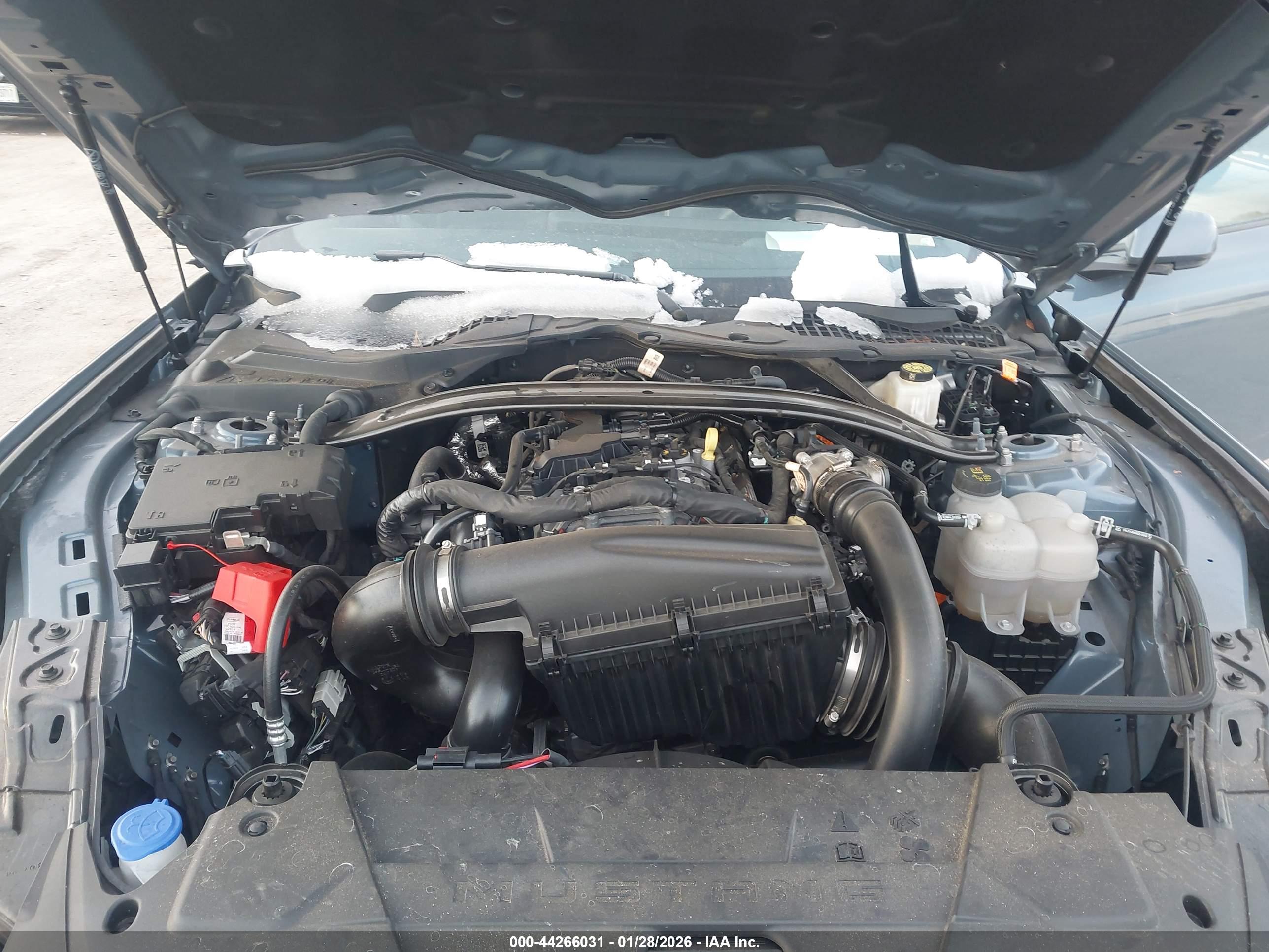 FORD MUSTANG image 10