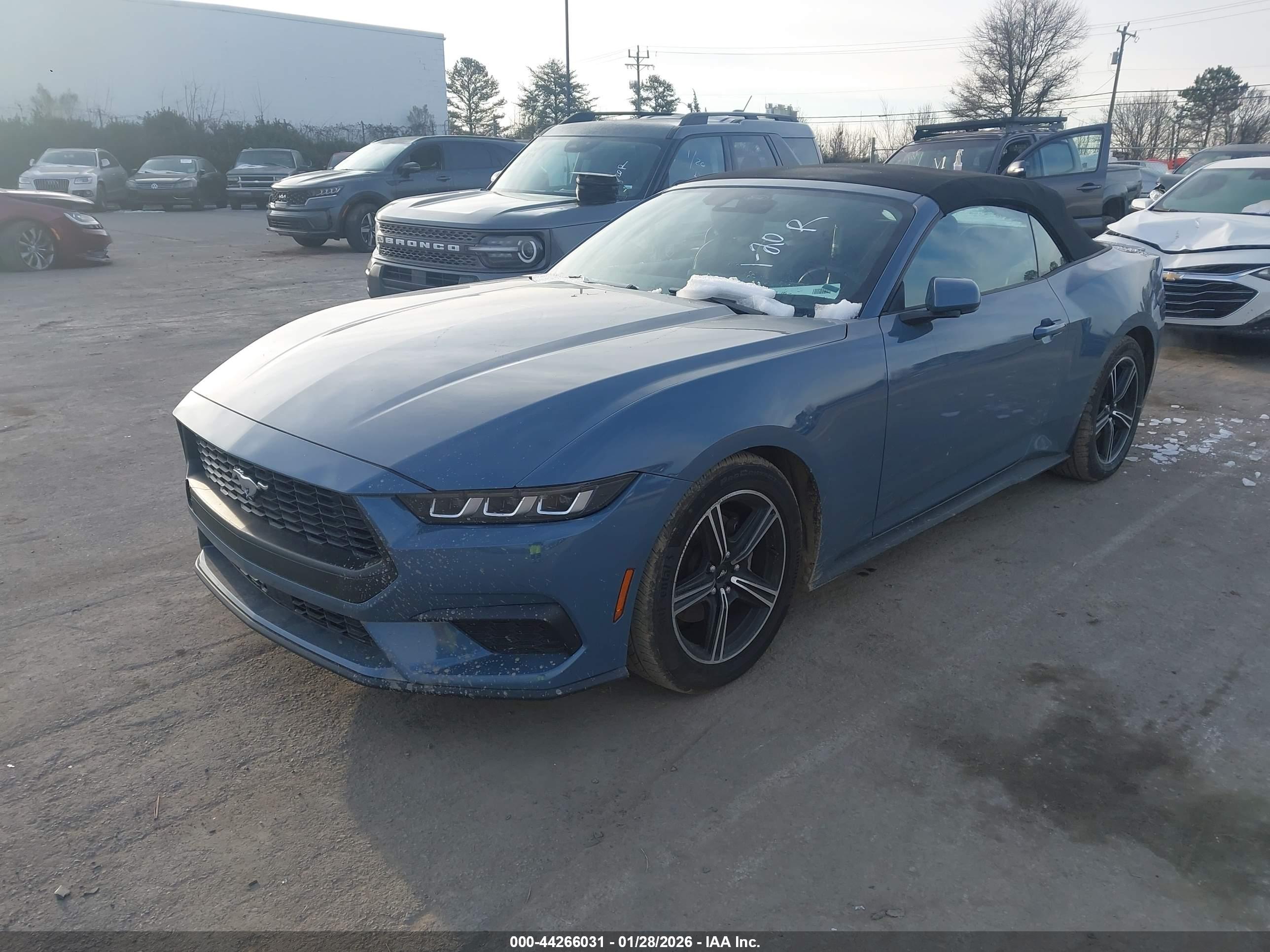 FORD MUSTANG image 2
