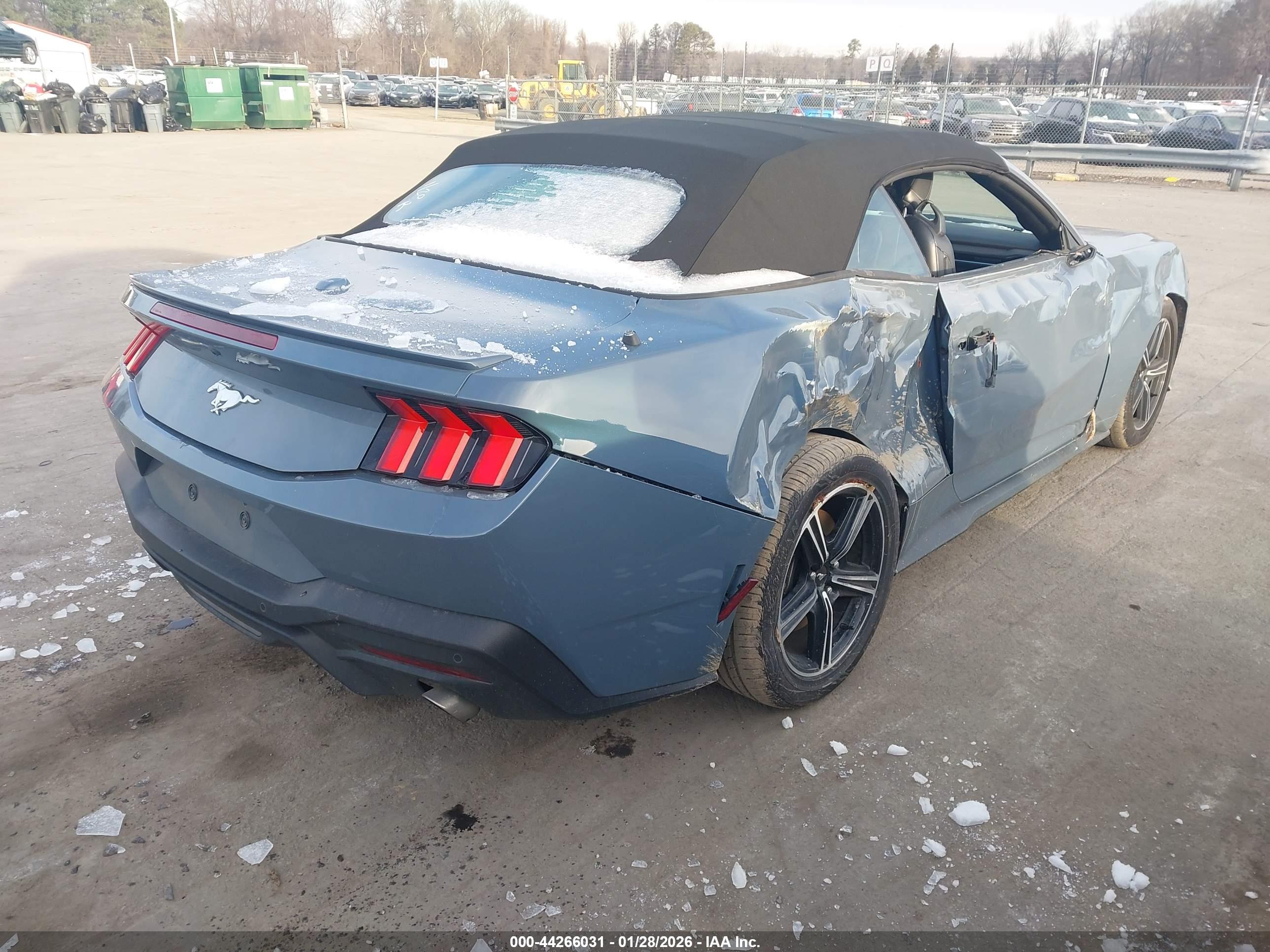 FORD MUSTANG image 4