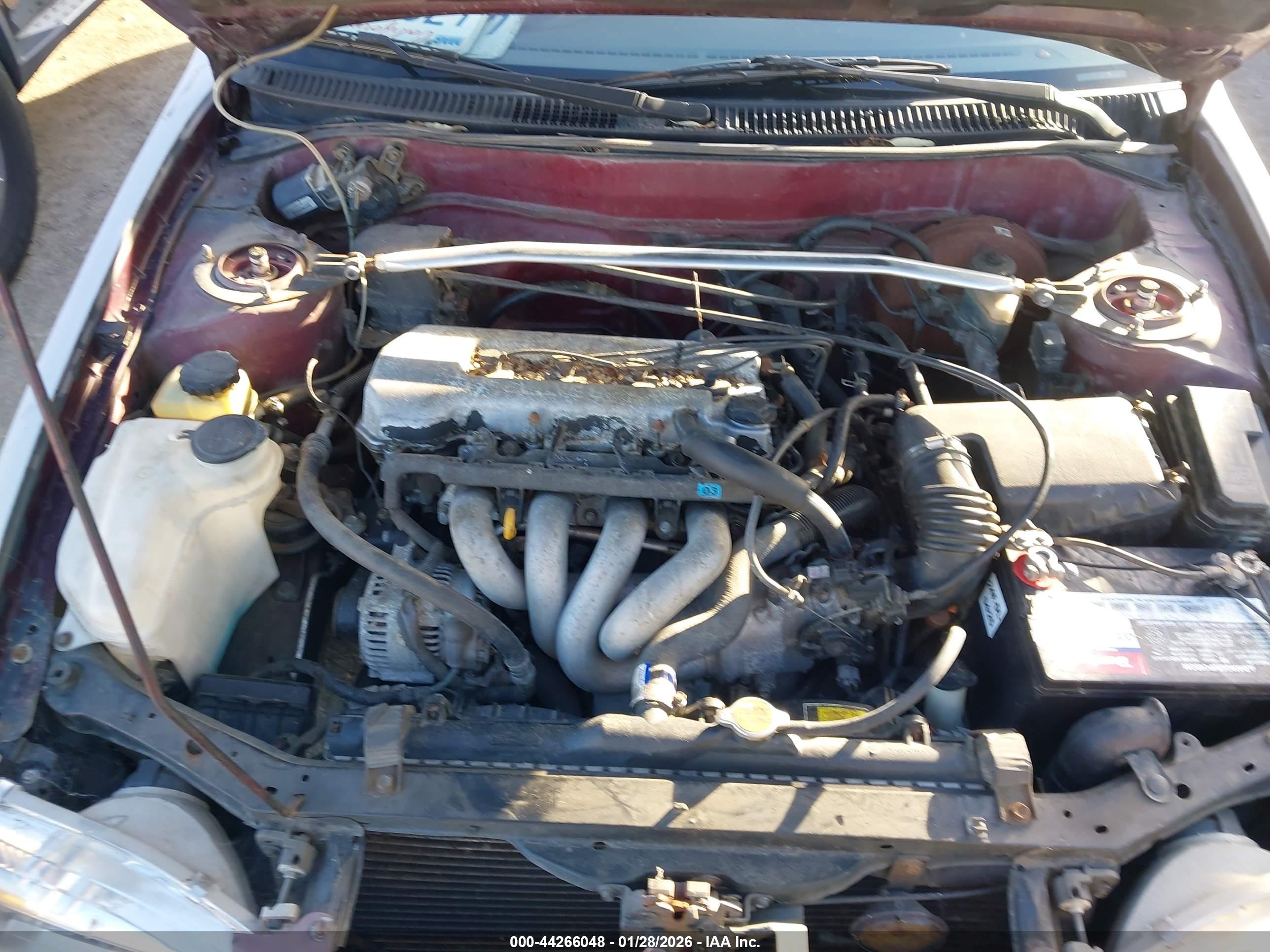 TOYOTA COROLLA image 10